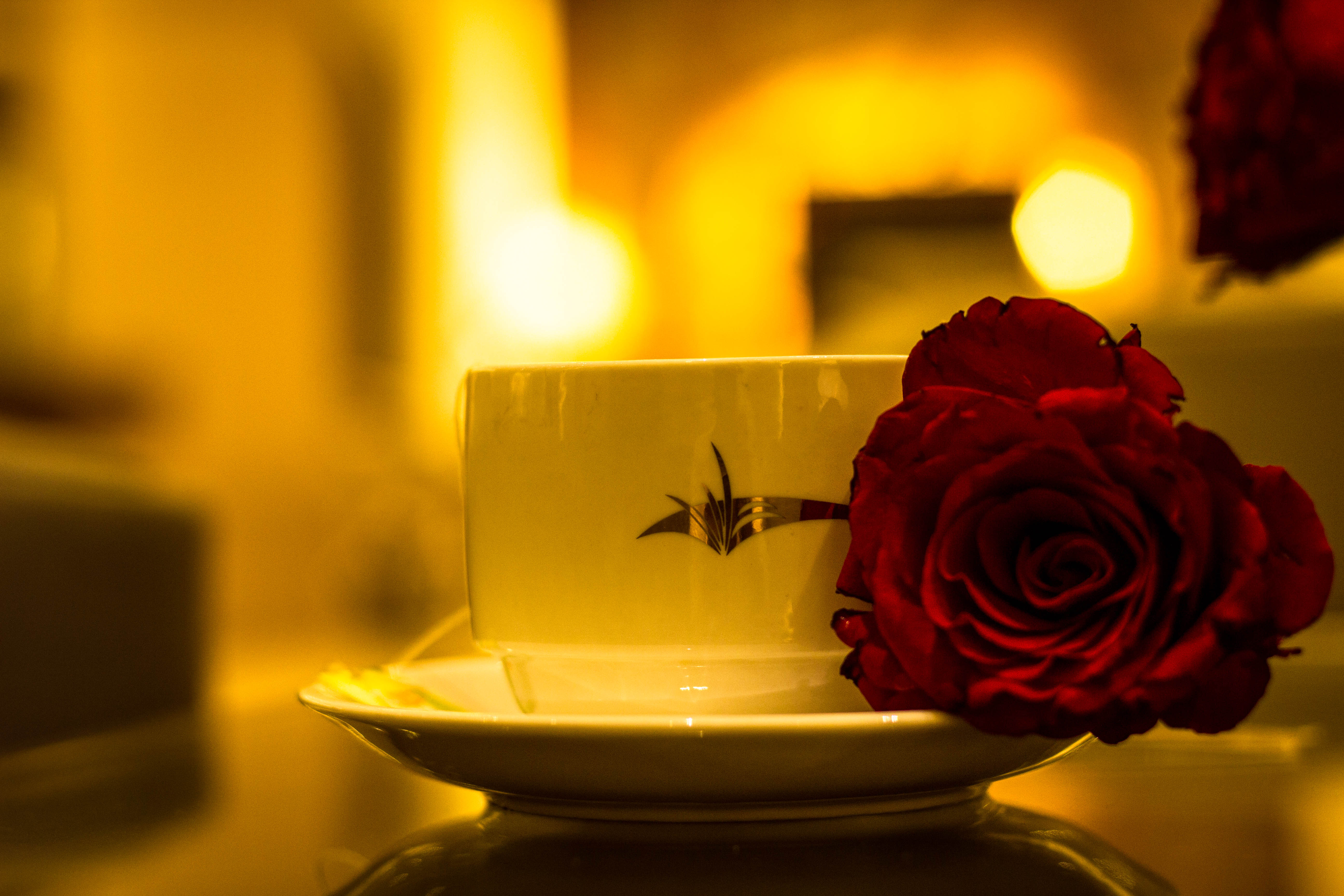 Suite Executive 2 Double Beds