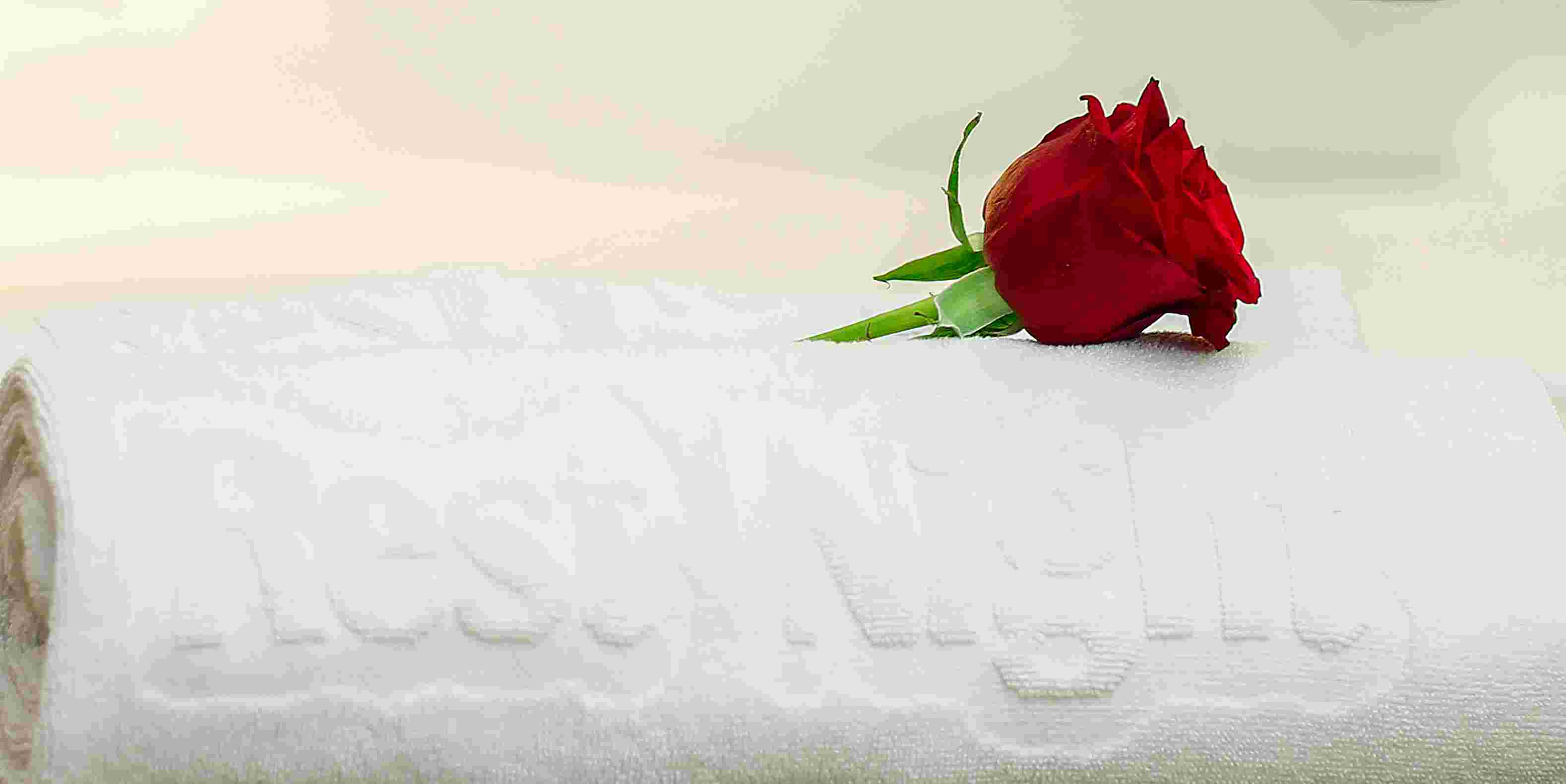 Suite Deluxe One Bed