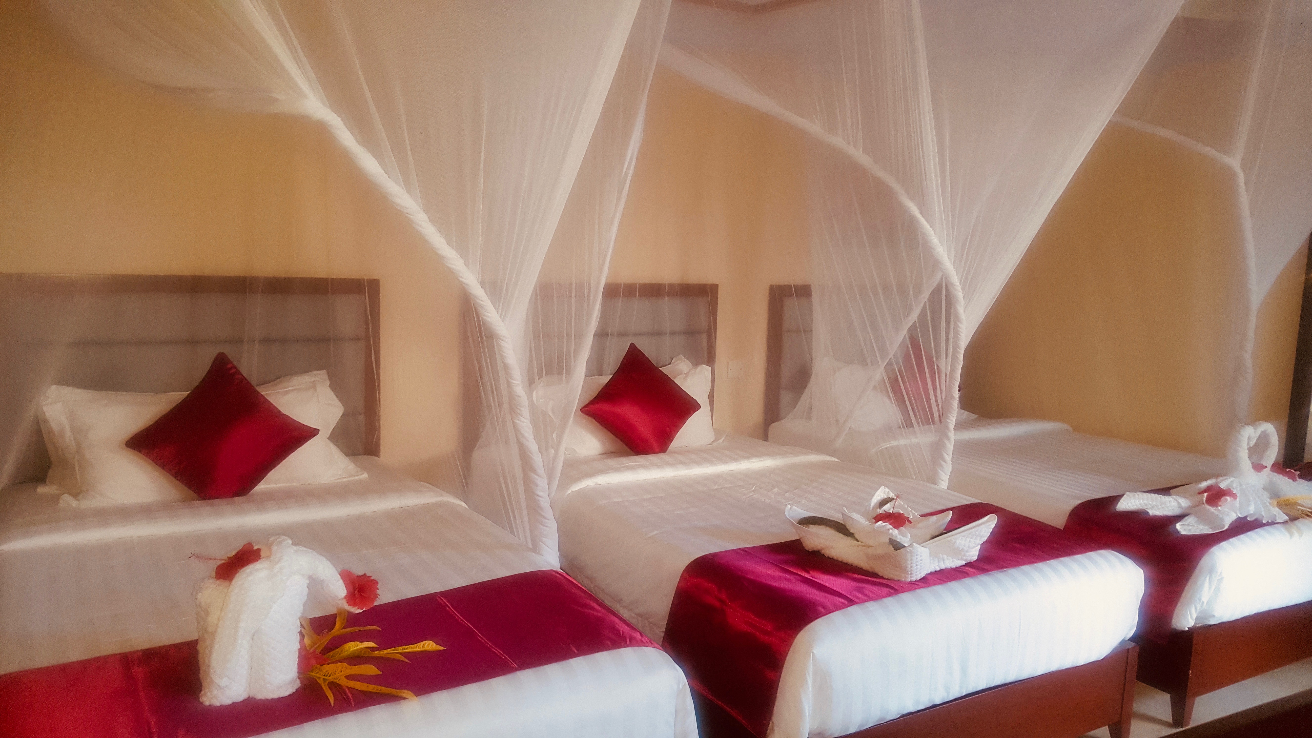 Family Room Standard