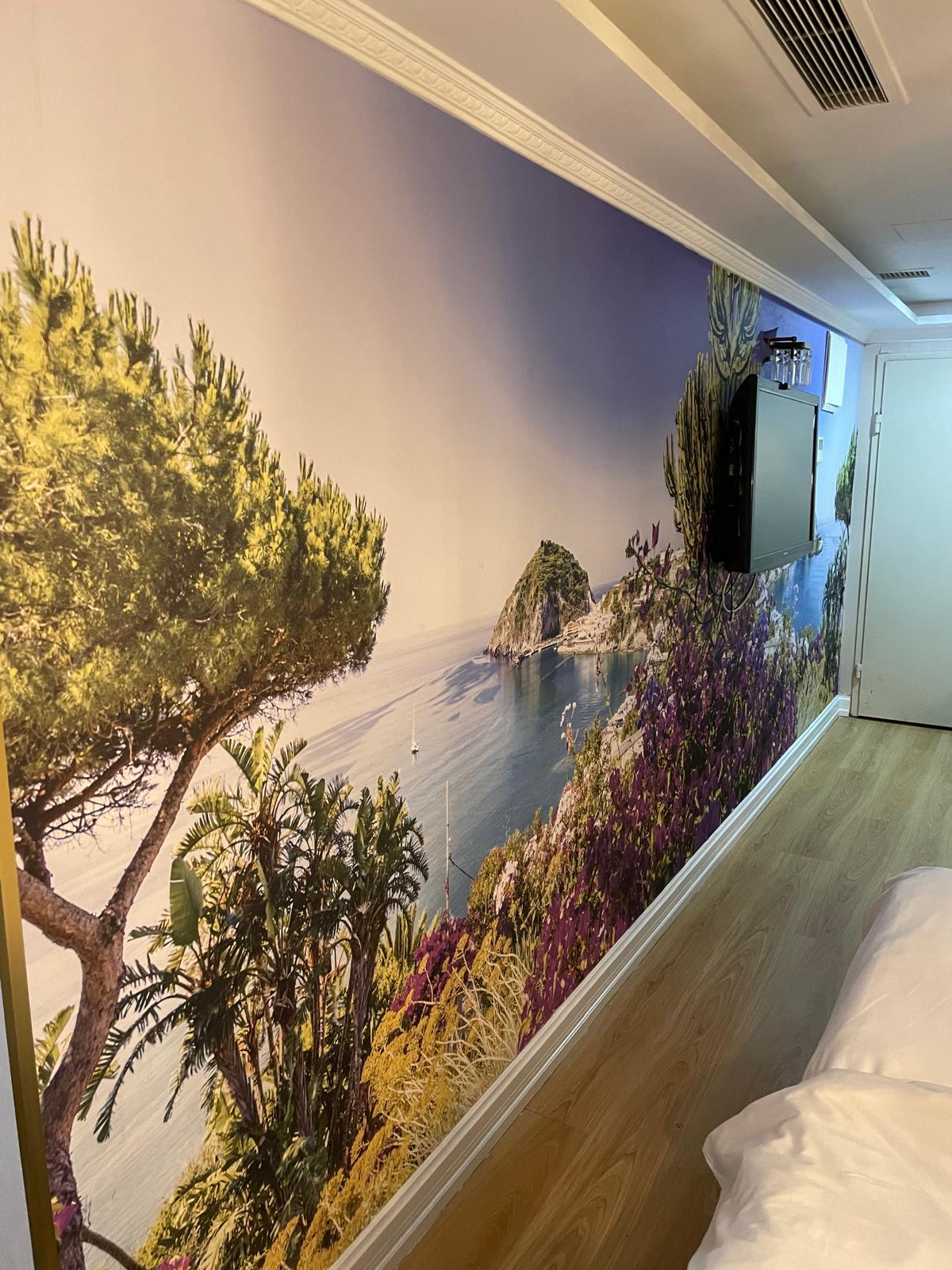 Family Room Basement