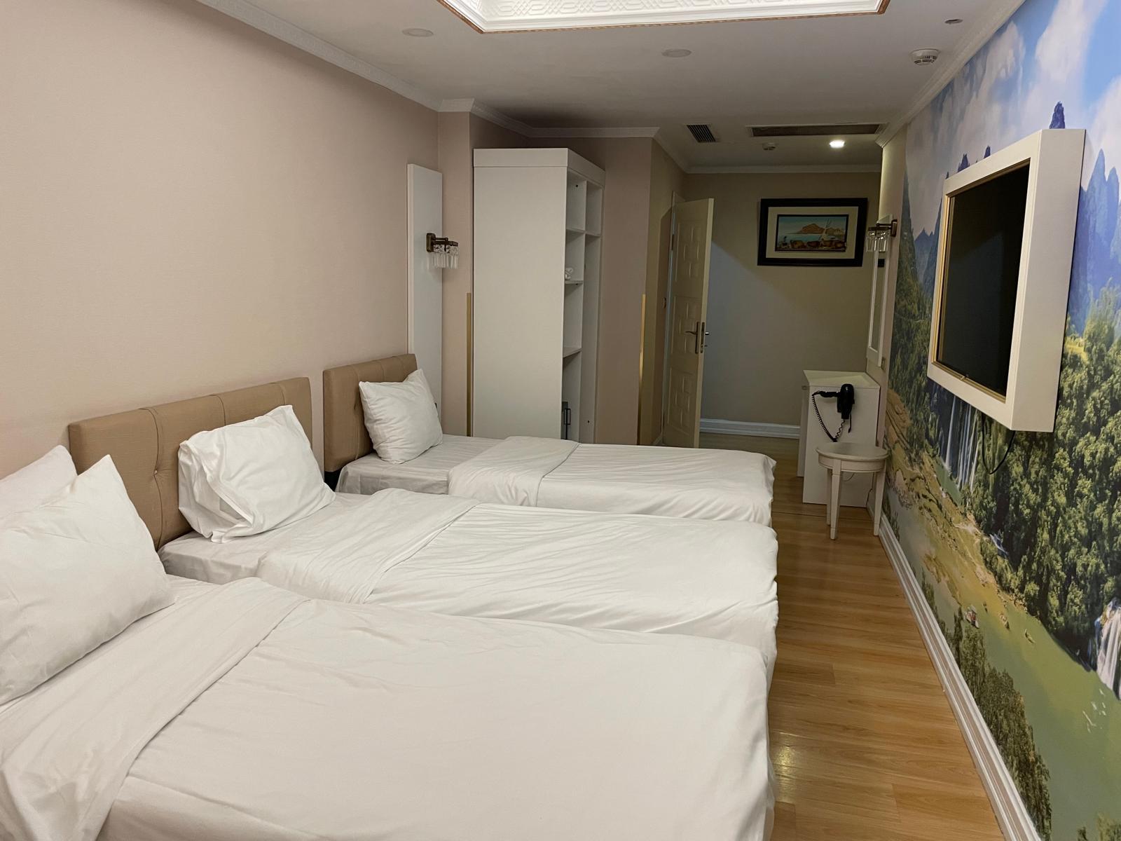 Family Room Basement