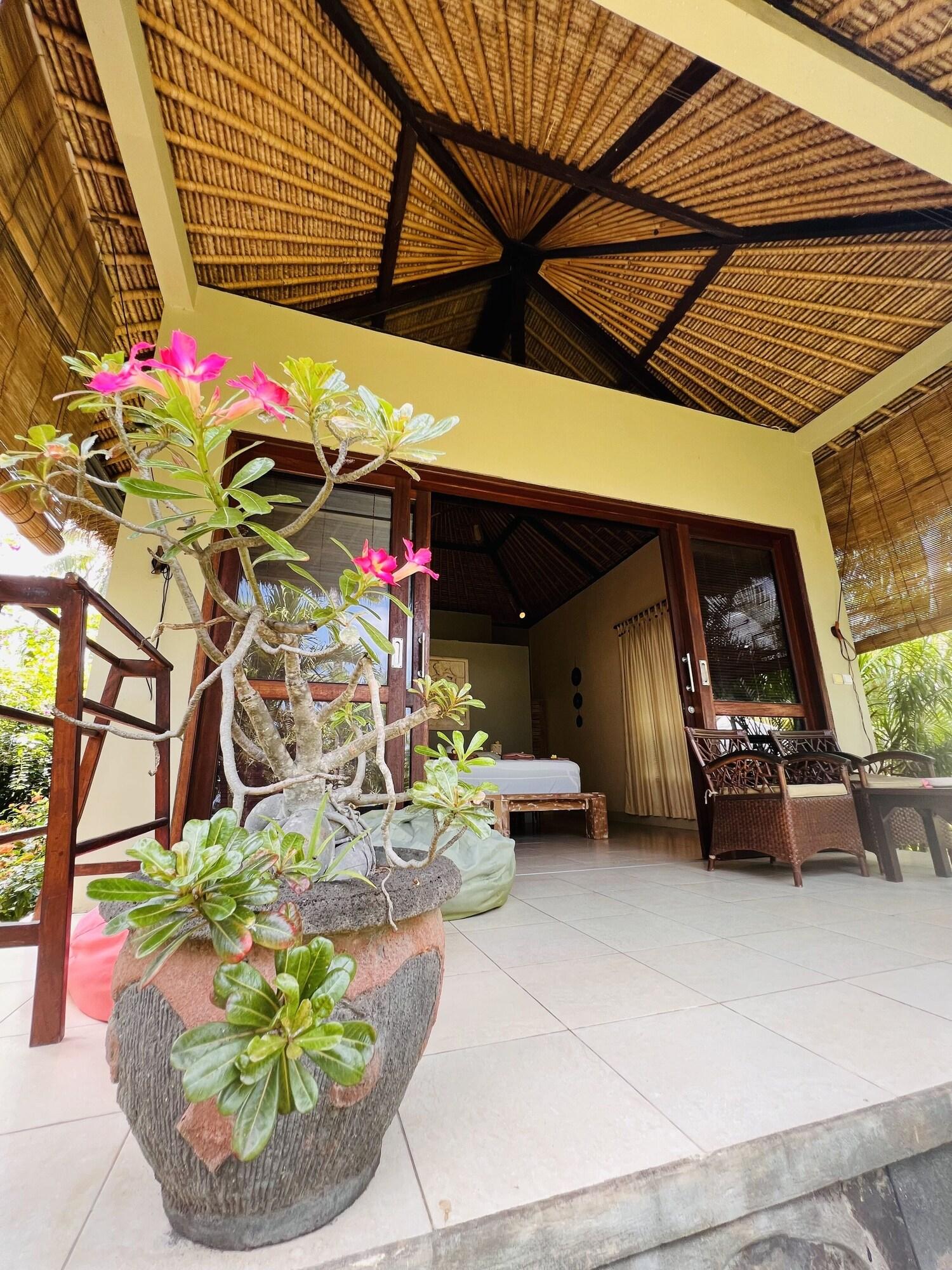 Double or Twin Deluxe Two Double Beds