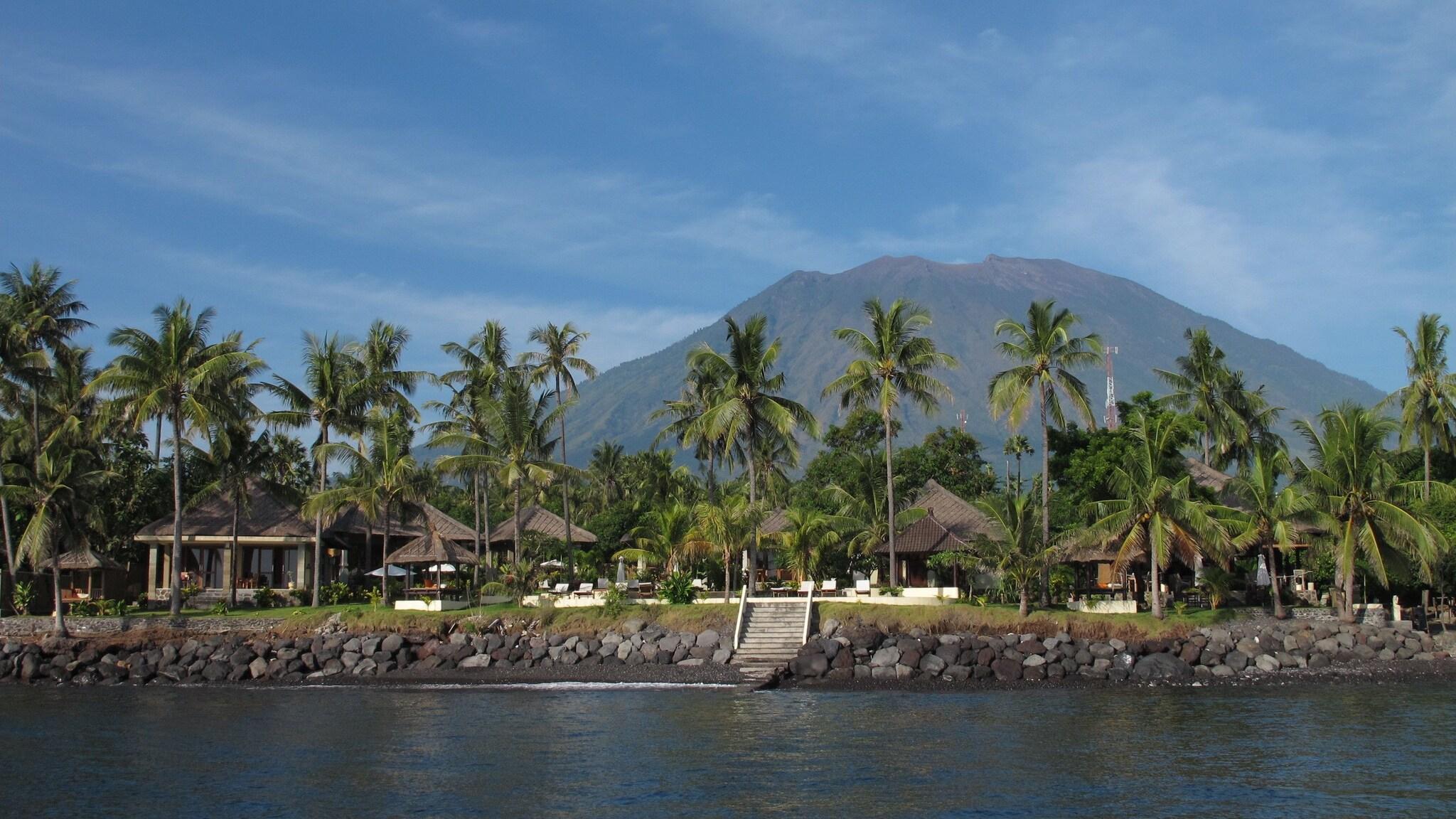 Double or Twin Deluxe Two Double Beds