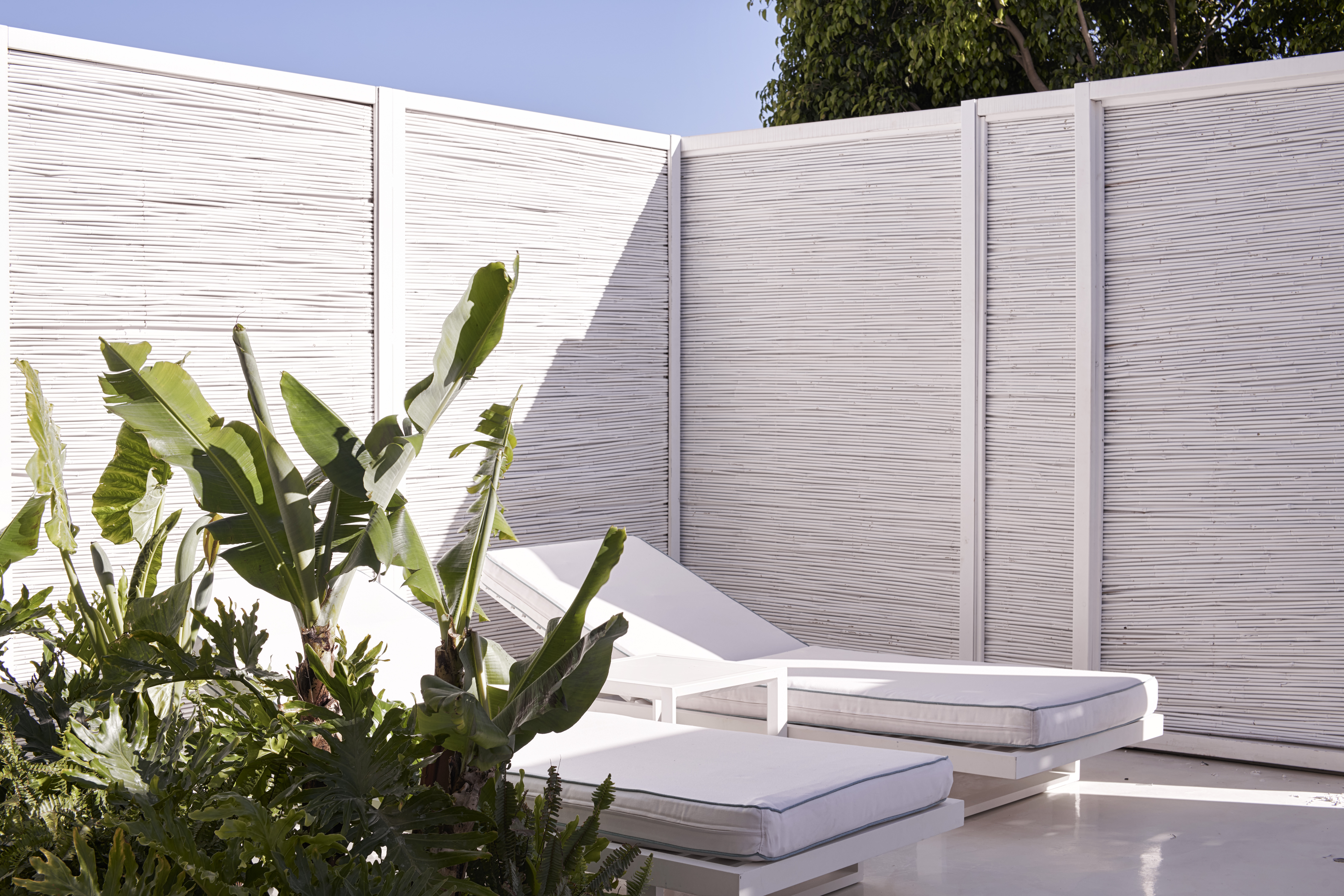 Double or Twin with Terrace