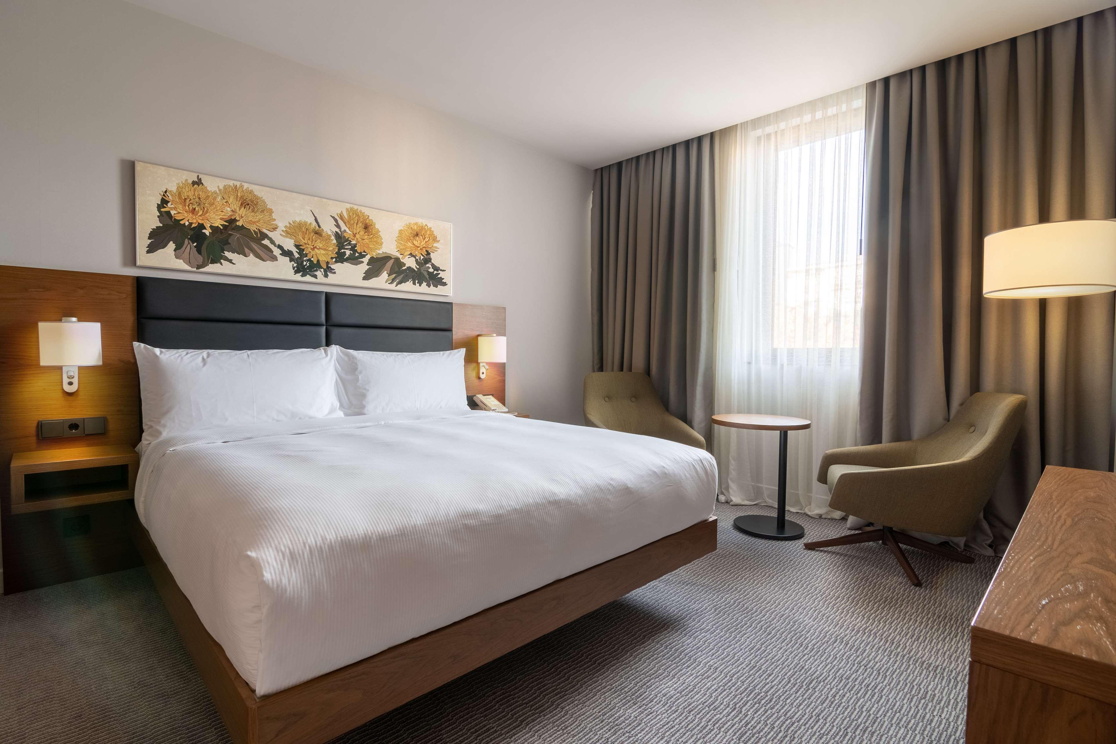 Suite King Bed One Bedroom 