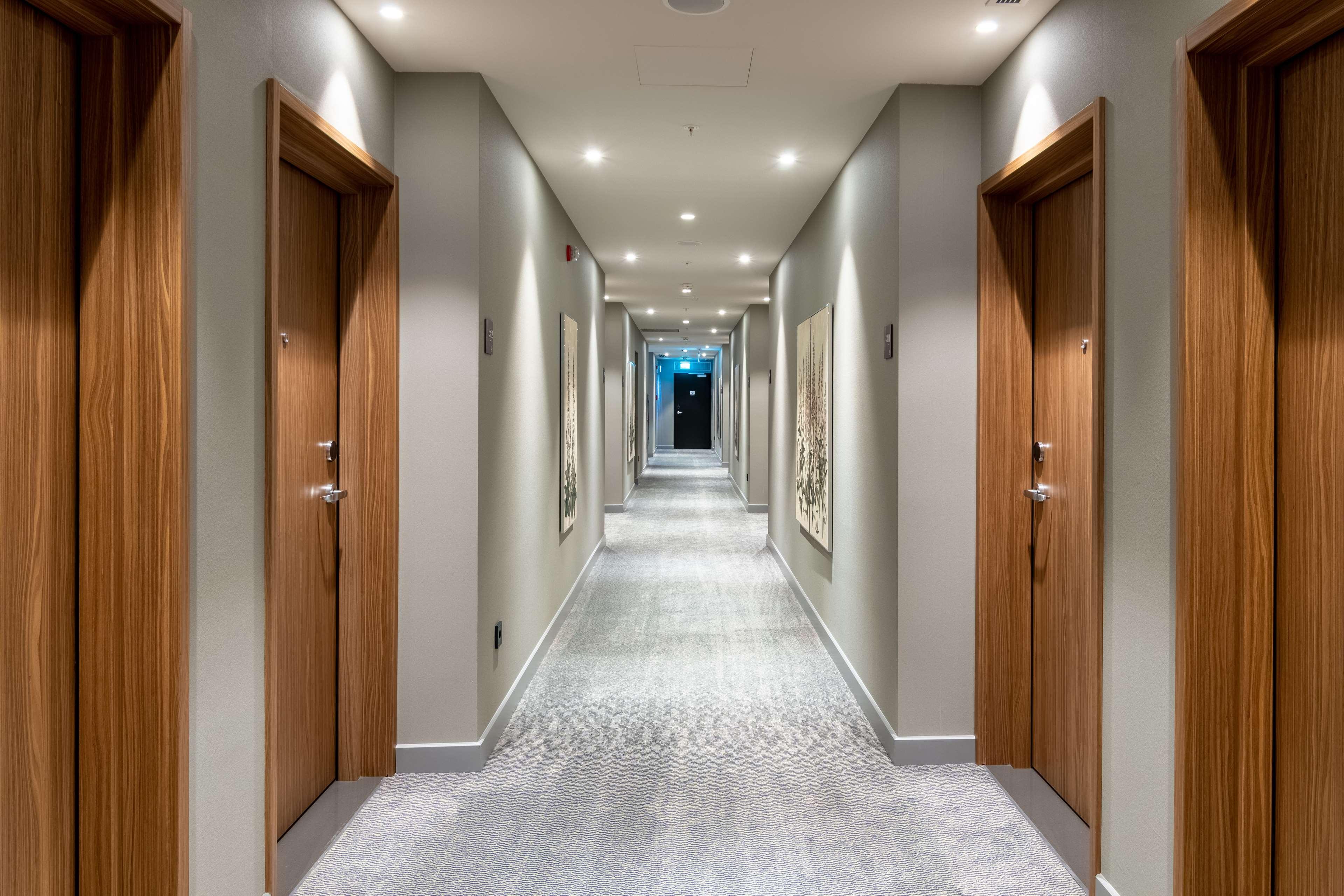 Suite King Bed One Bedroom 