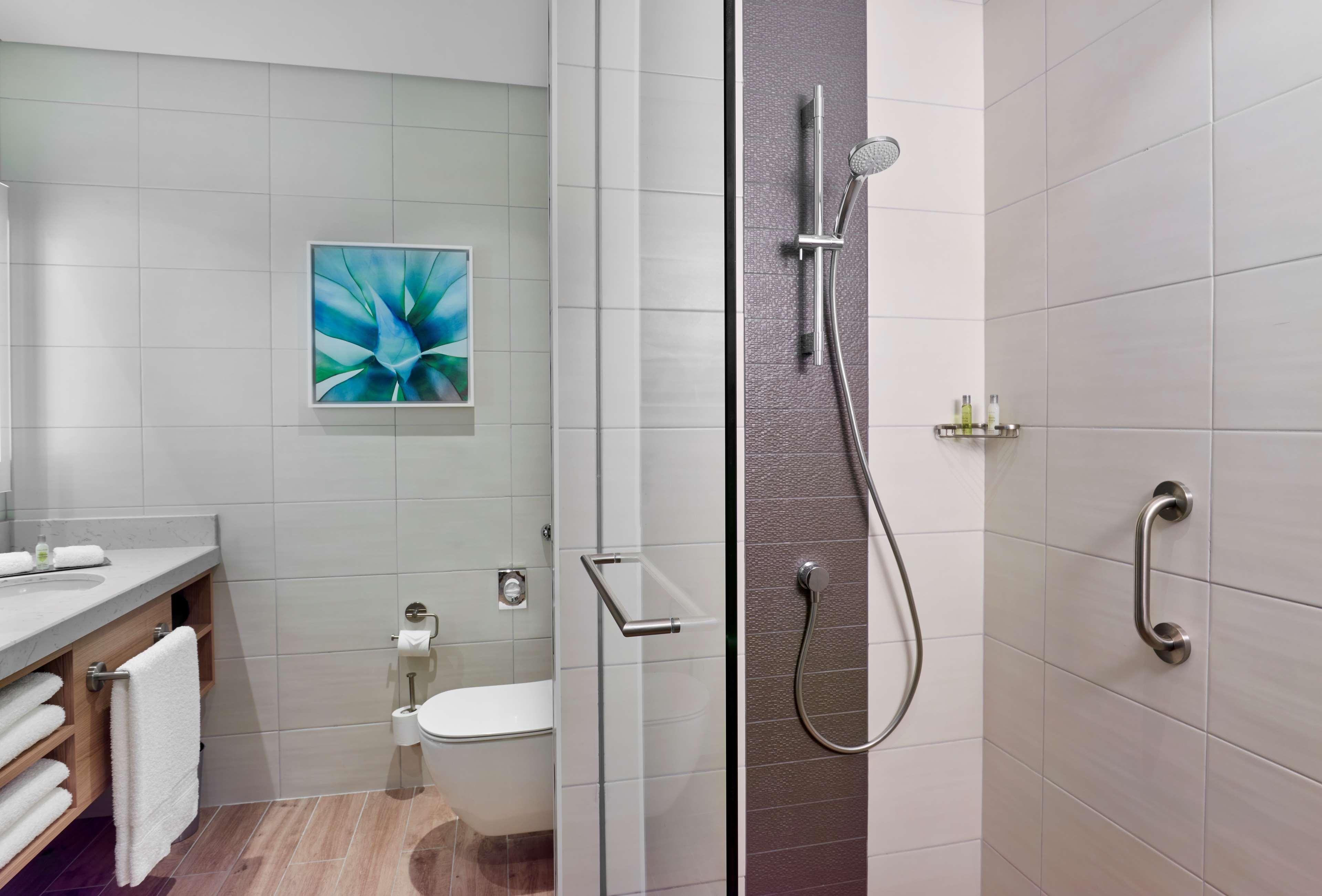 Suite King Bed One Bedroom 