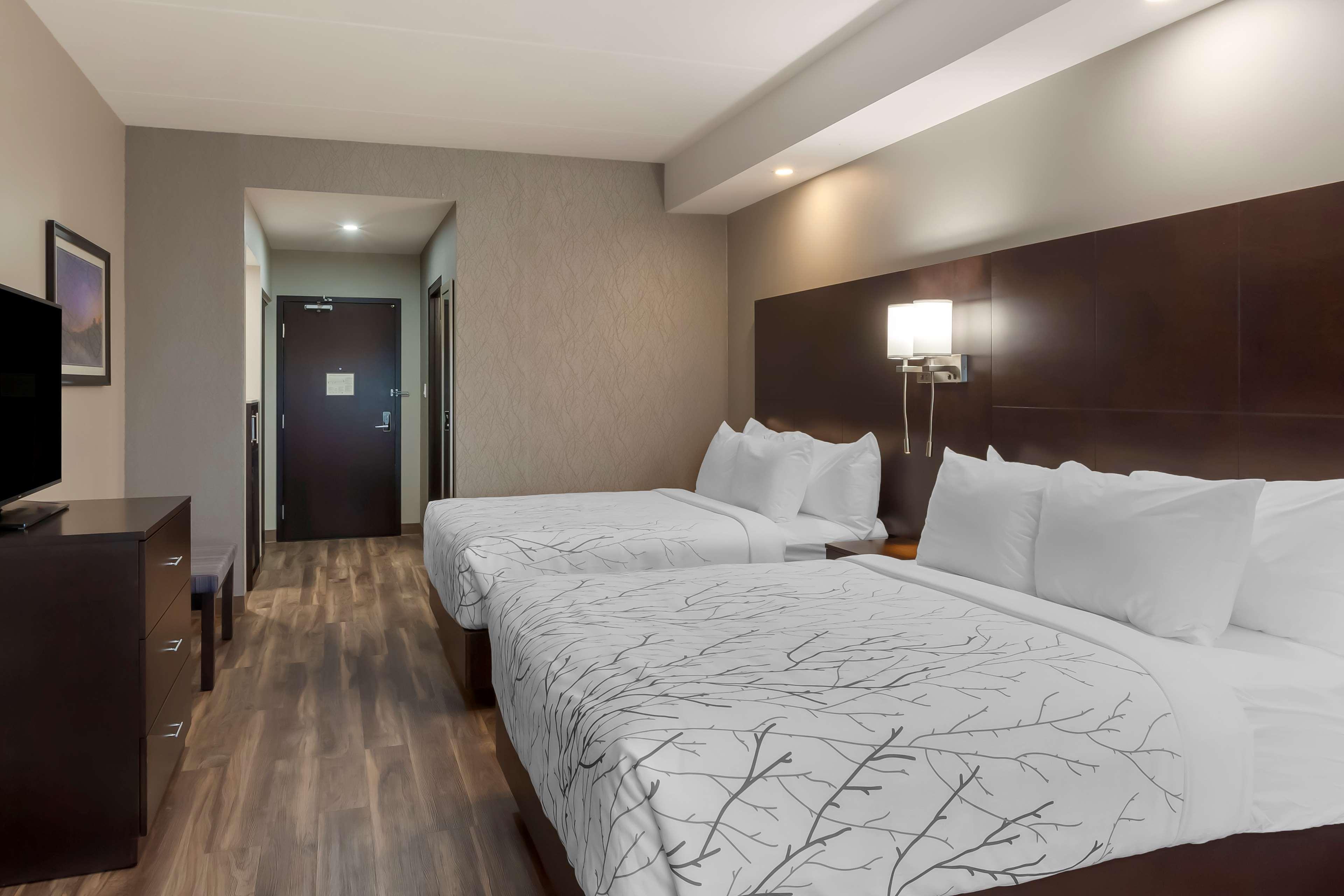 Suite Two Queen Beds Non Smoking