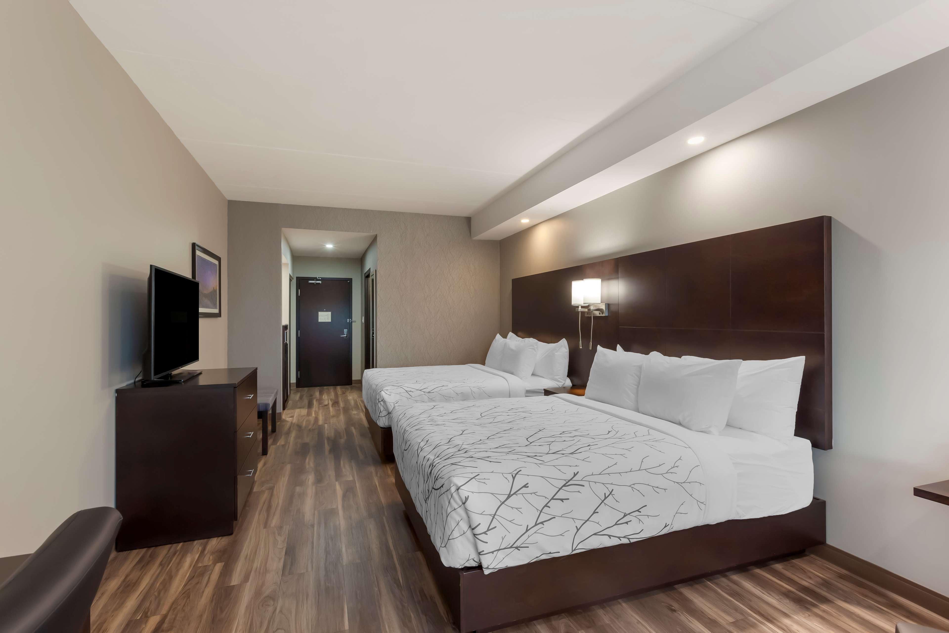 Room Two Queen Beds Non Smoking