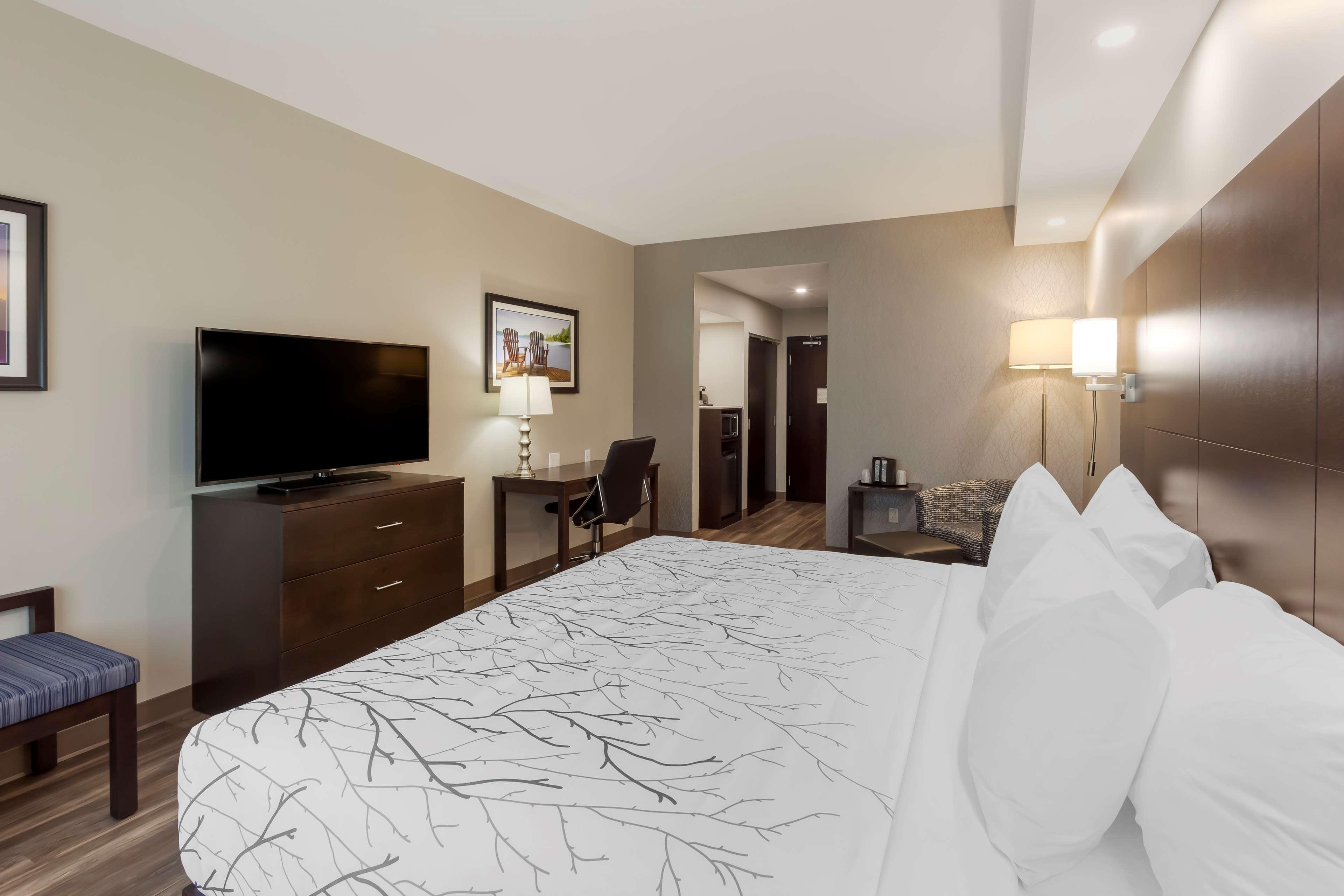 Room King Bed Non Smoking