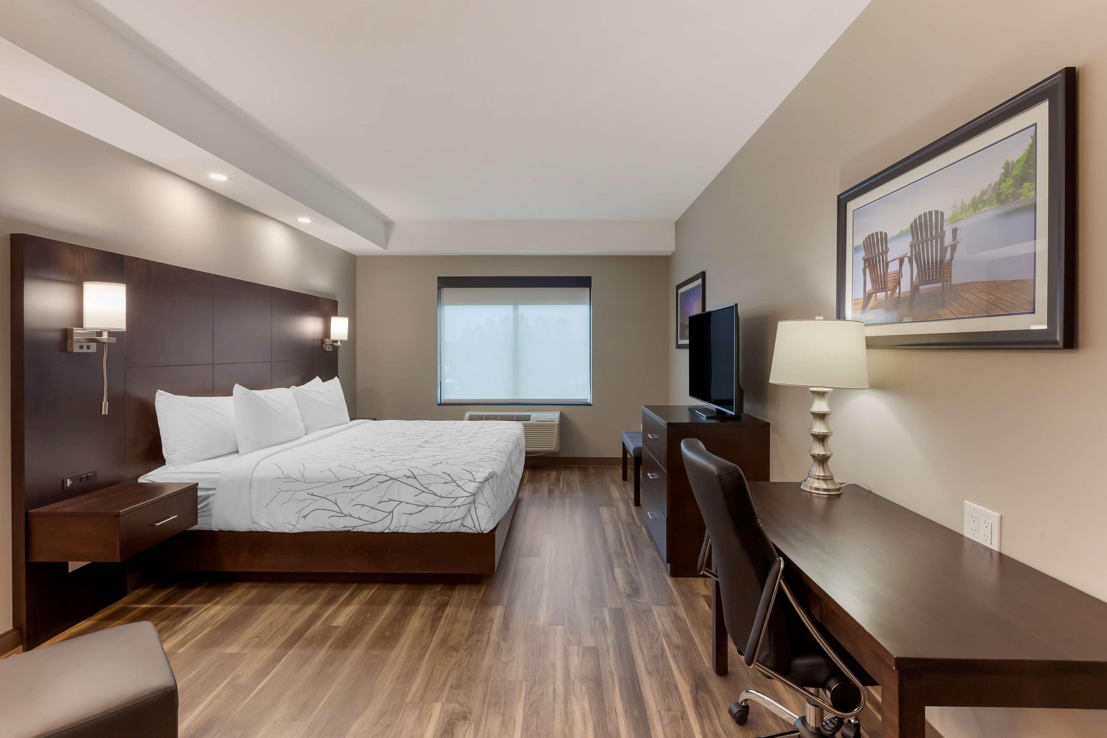 Room King Bed Non Smoking