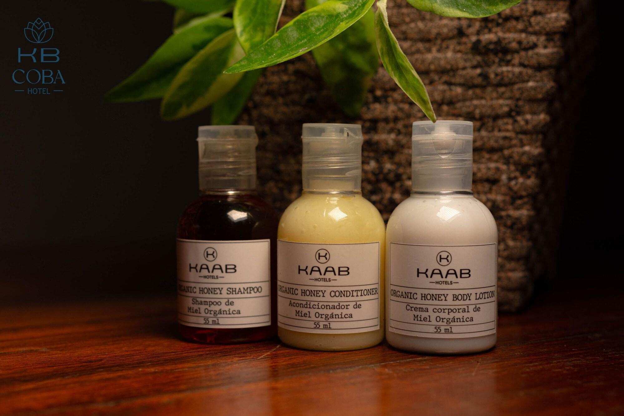 Family Room Queen Size Bed