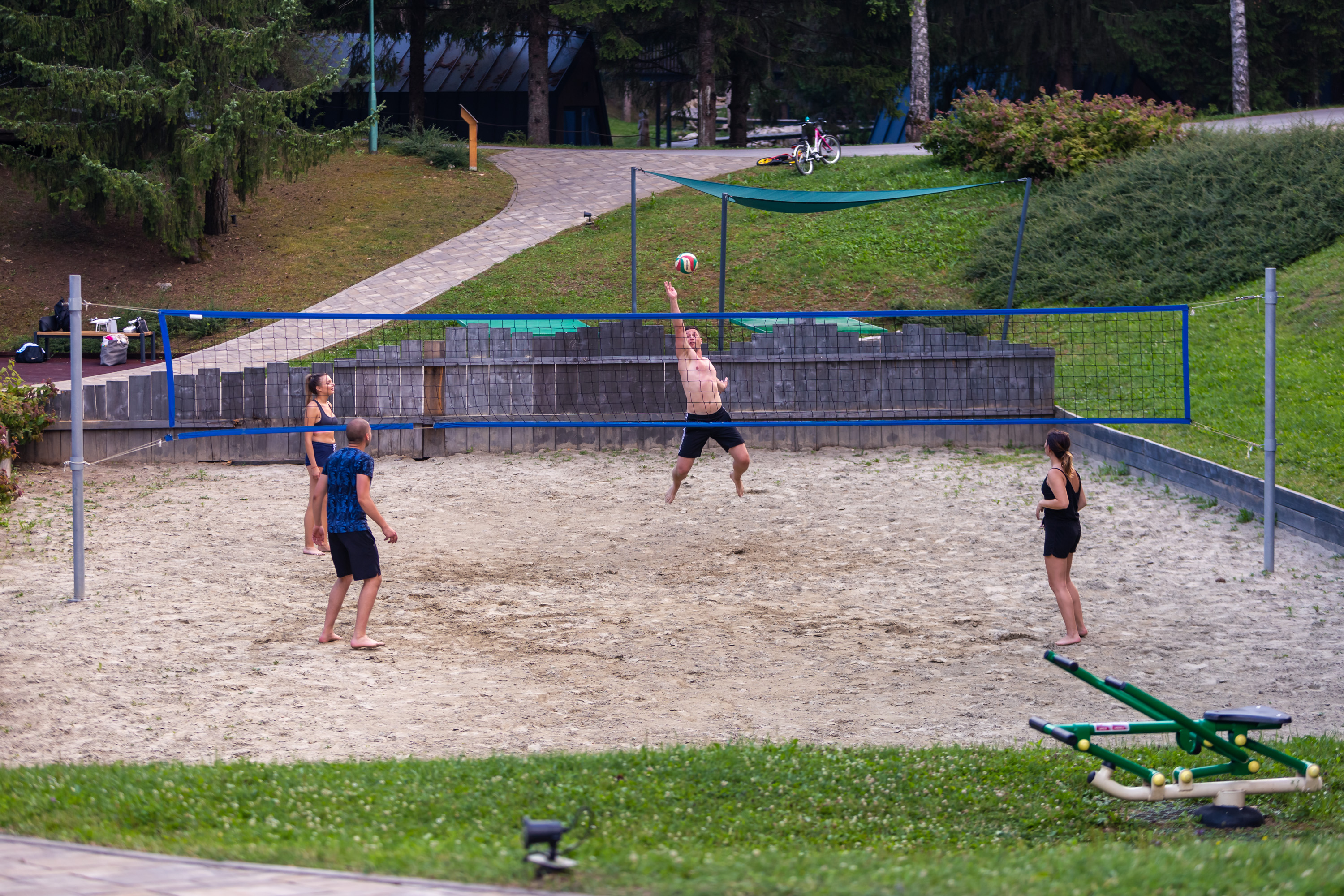 Sports and Entertainment