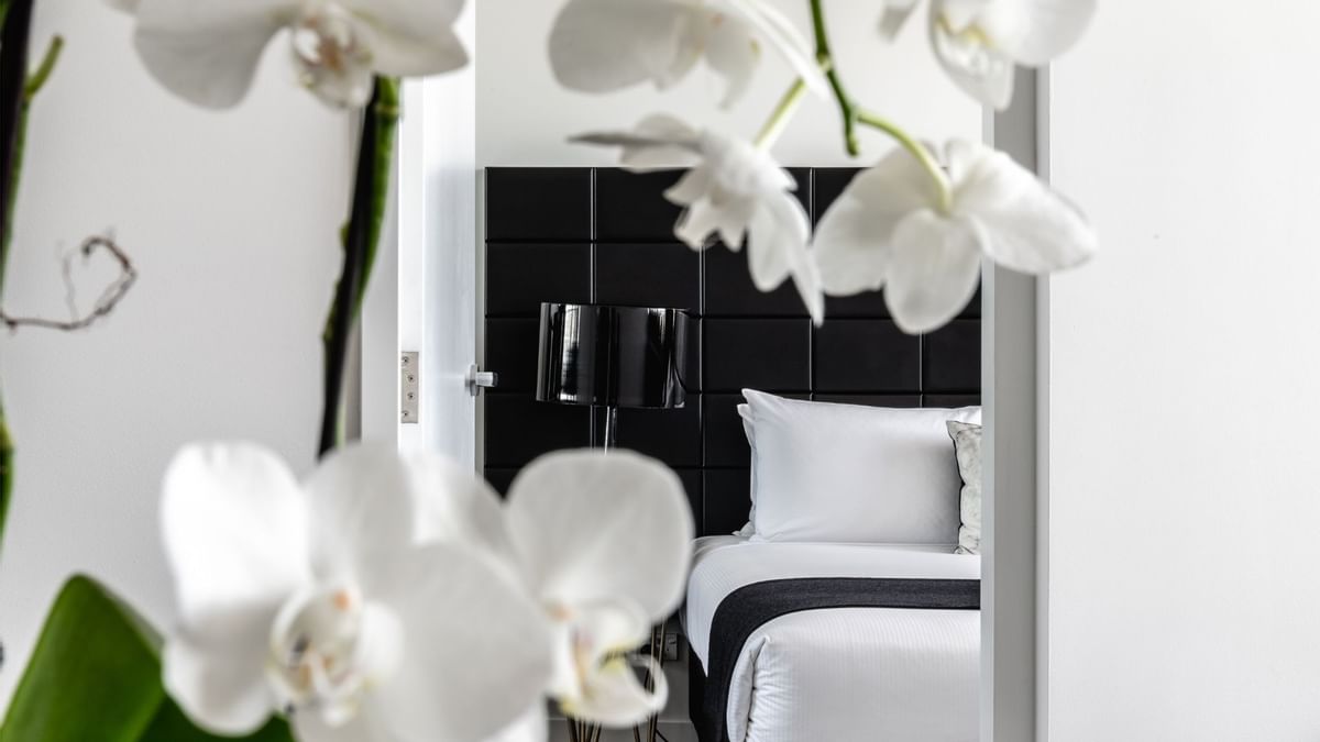 Apartment Two Bedrooms with Views