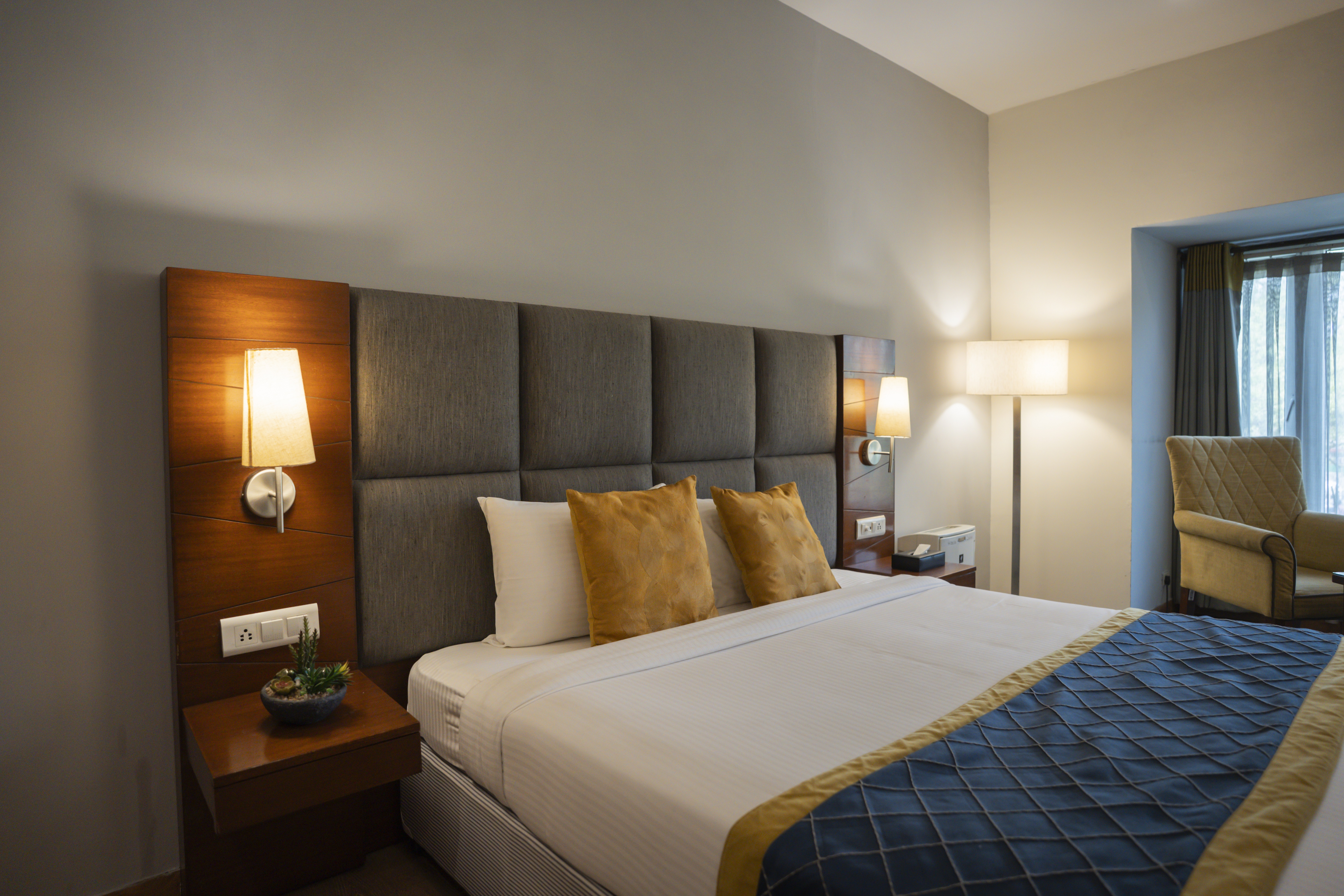 Double or Twin Standard