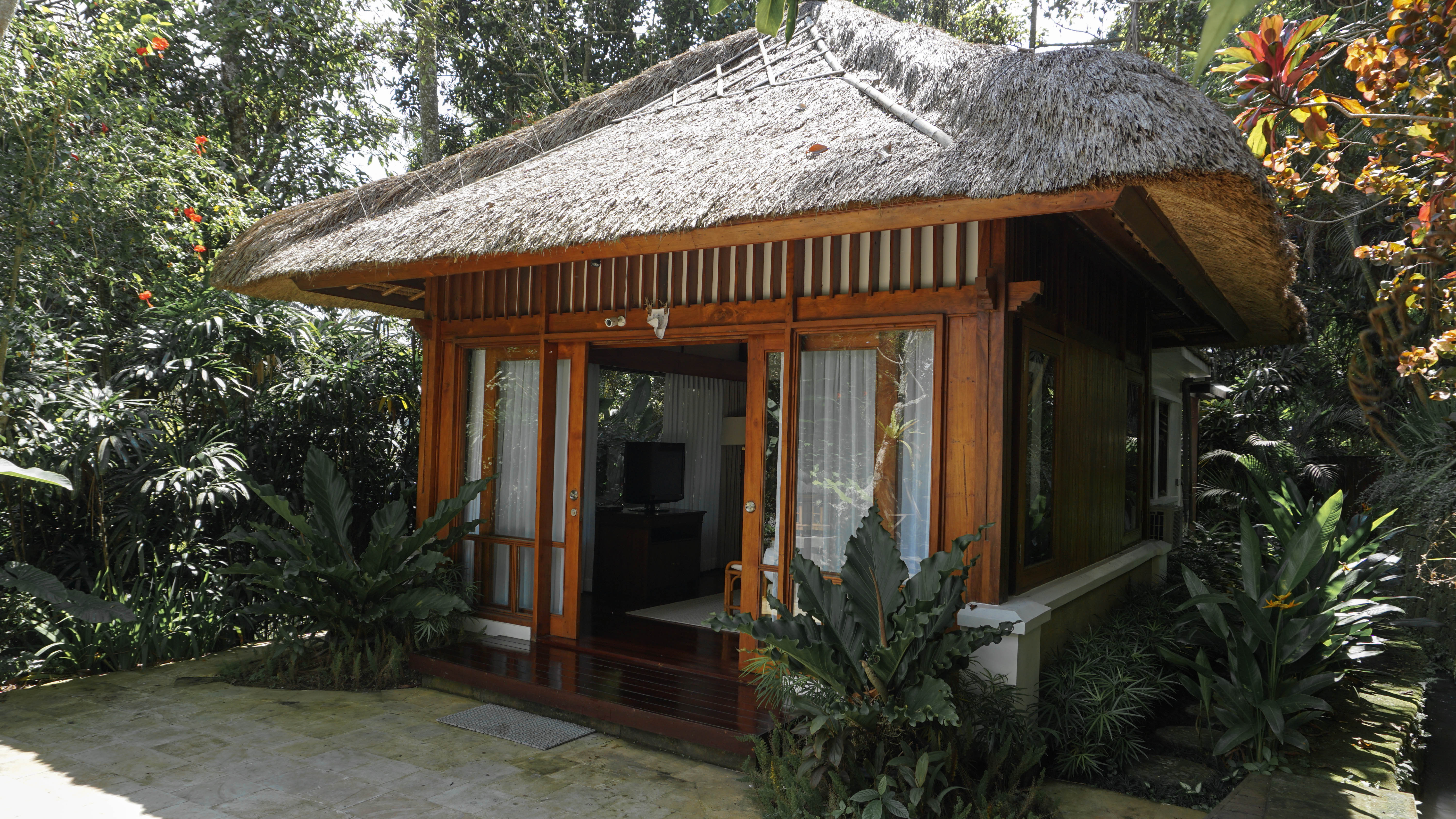 Room Deluxe Pool View