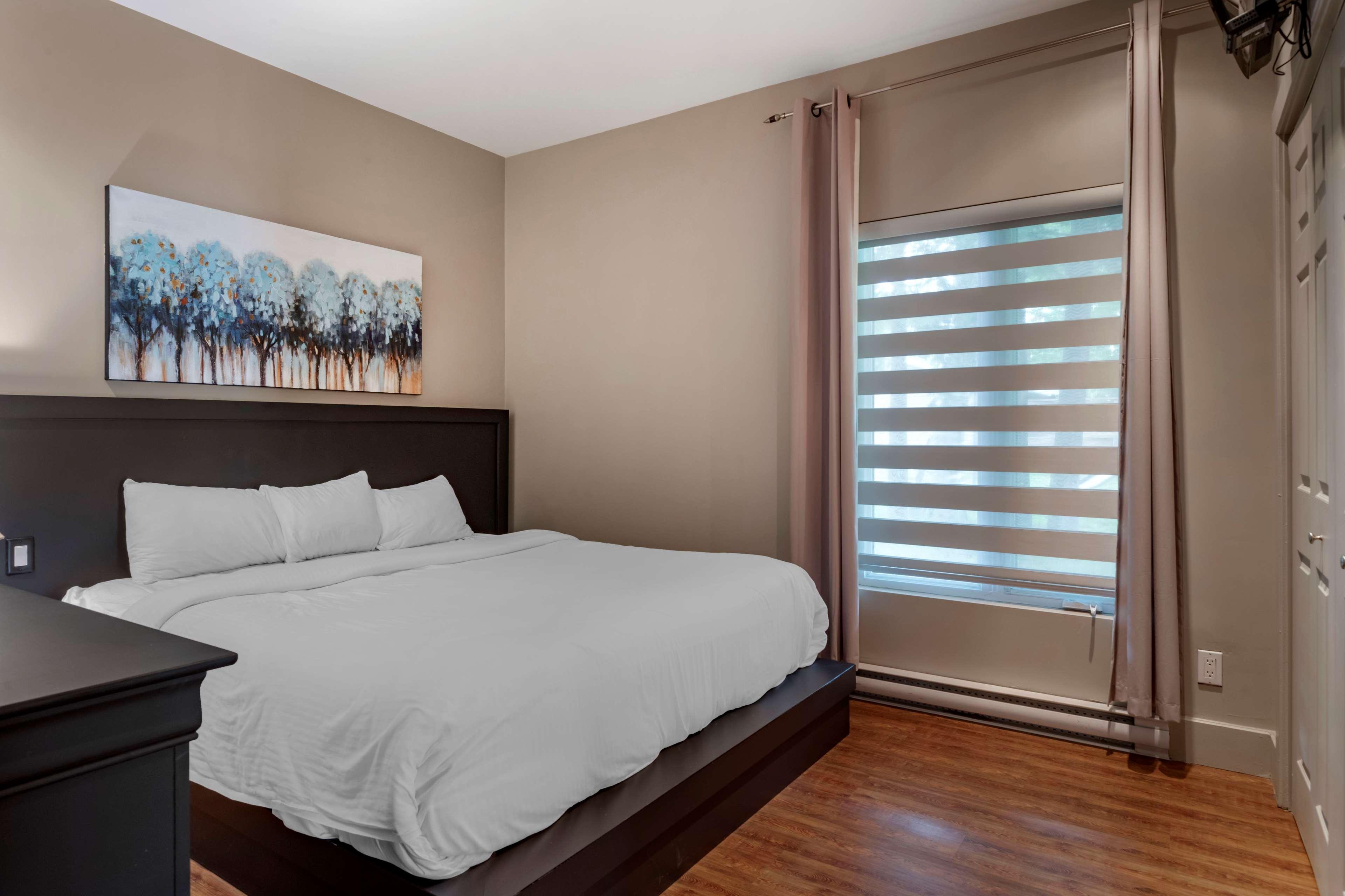 Suite King Bed Non Smoking