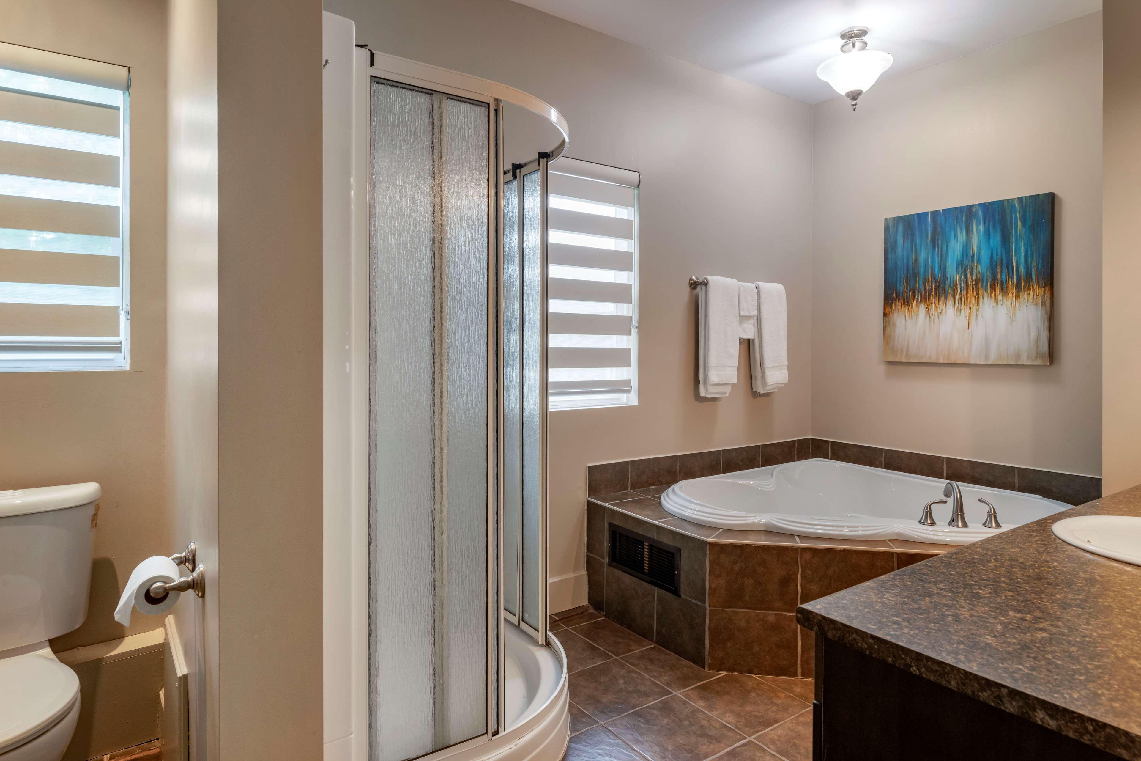 Suite King Bed Non Smoking