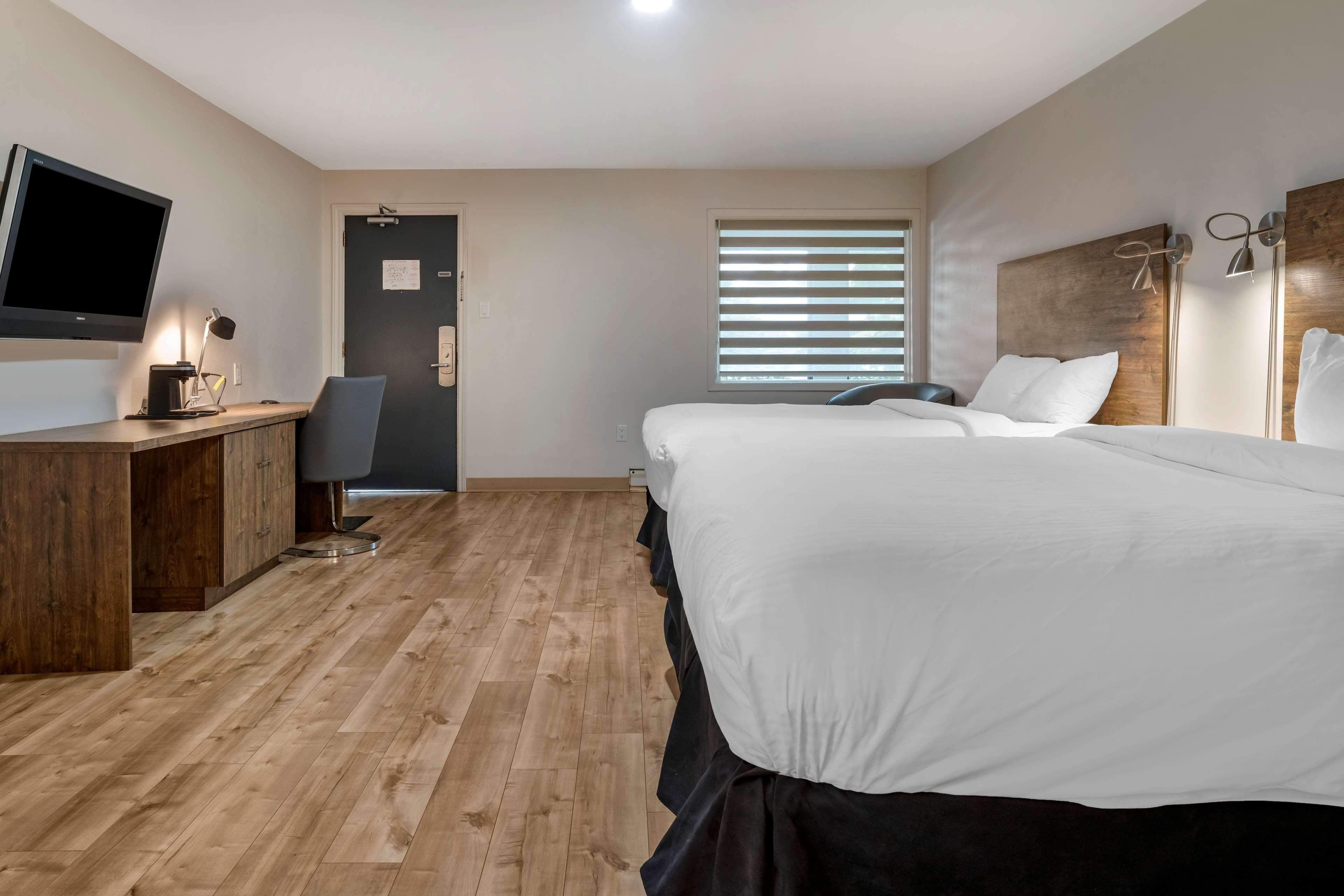 Suite Two Double Beds Non Smoking