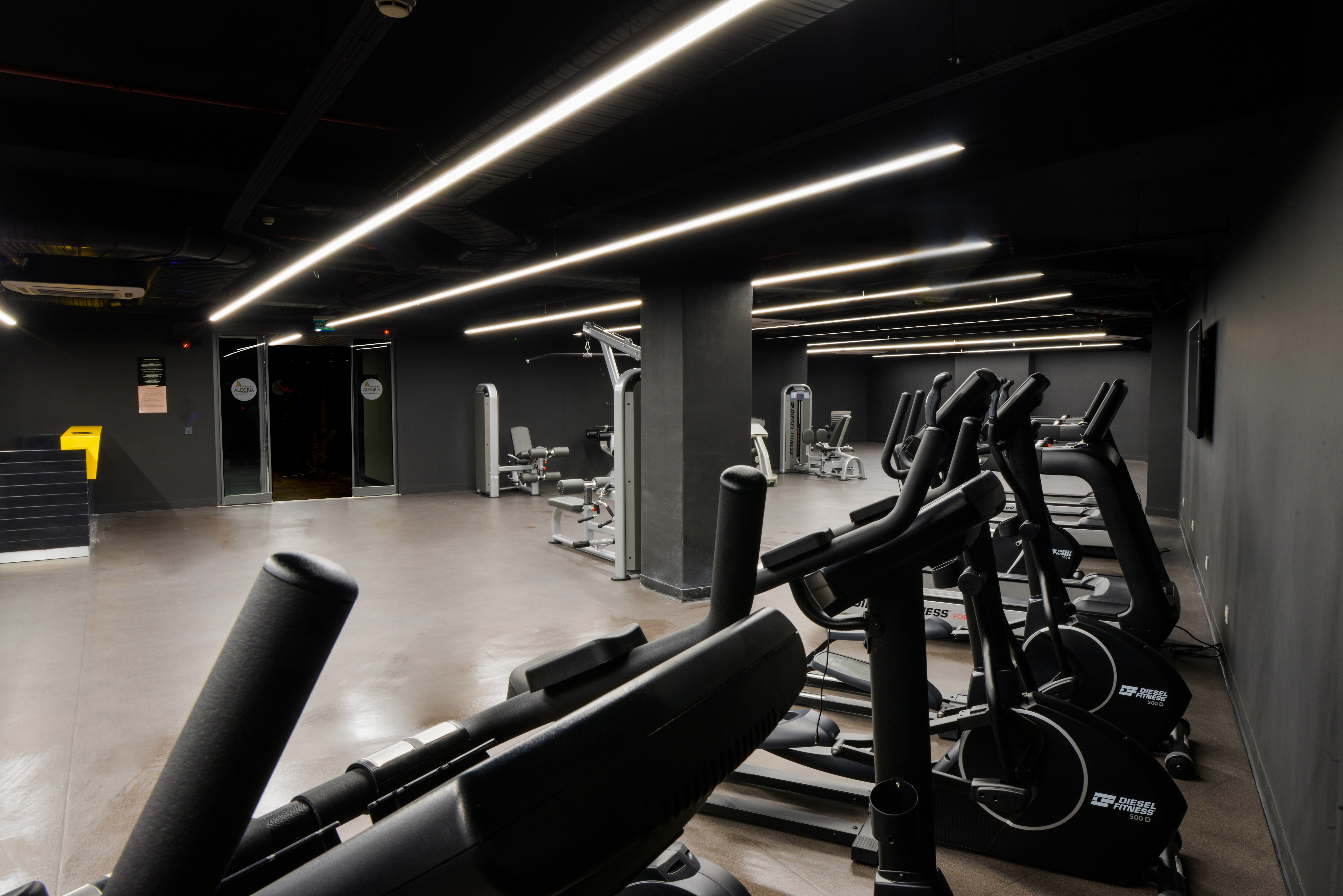 Sports and Entertainment