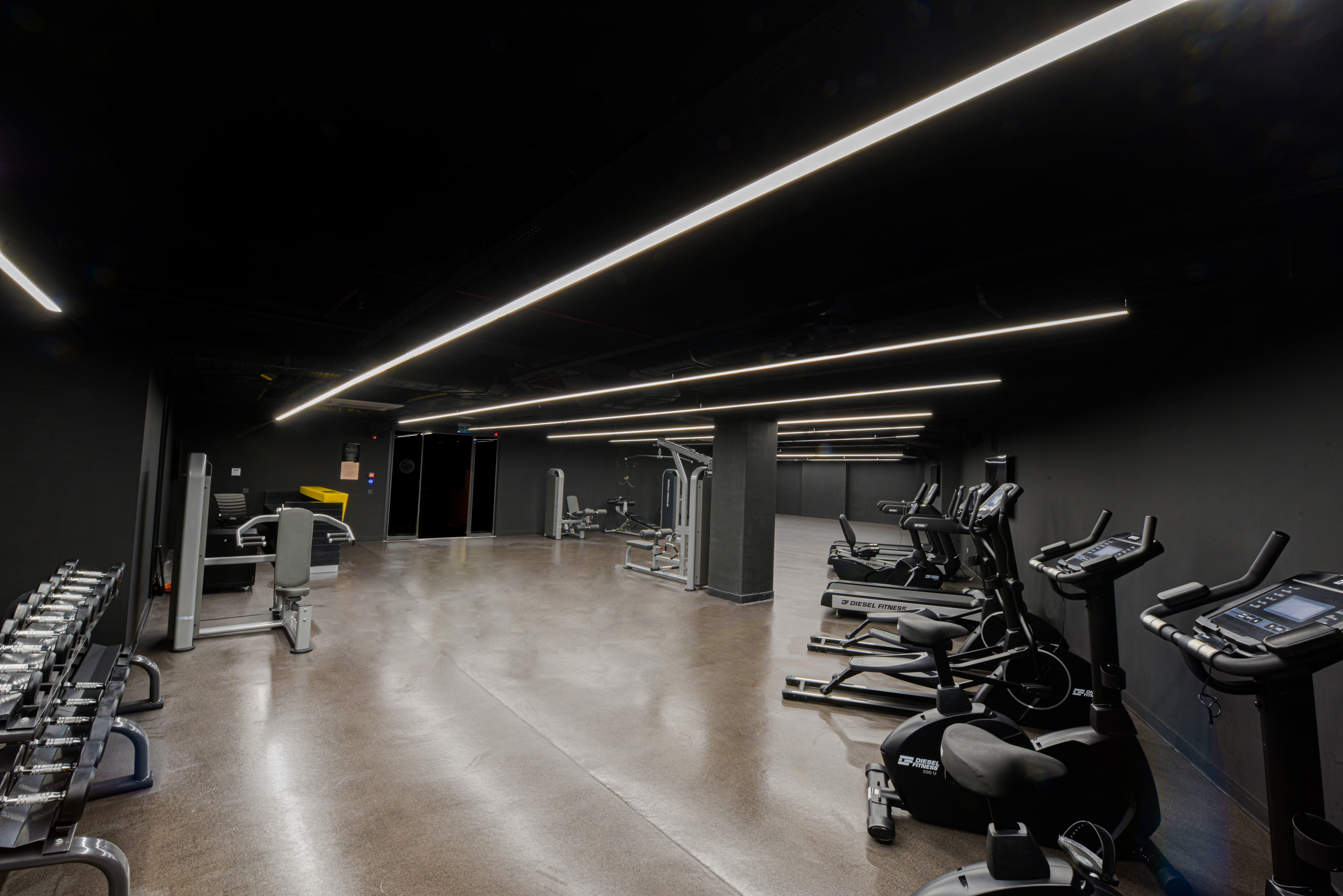 Sports and Entertainment