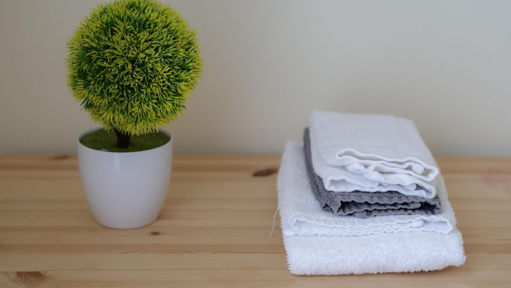 Quadruple with Shared Bathroom