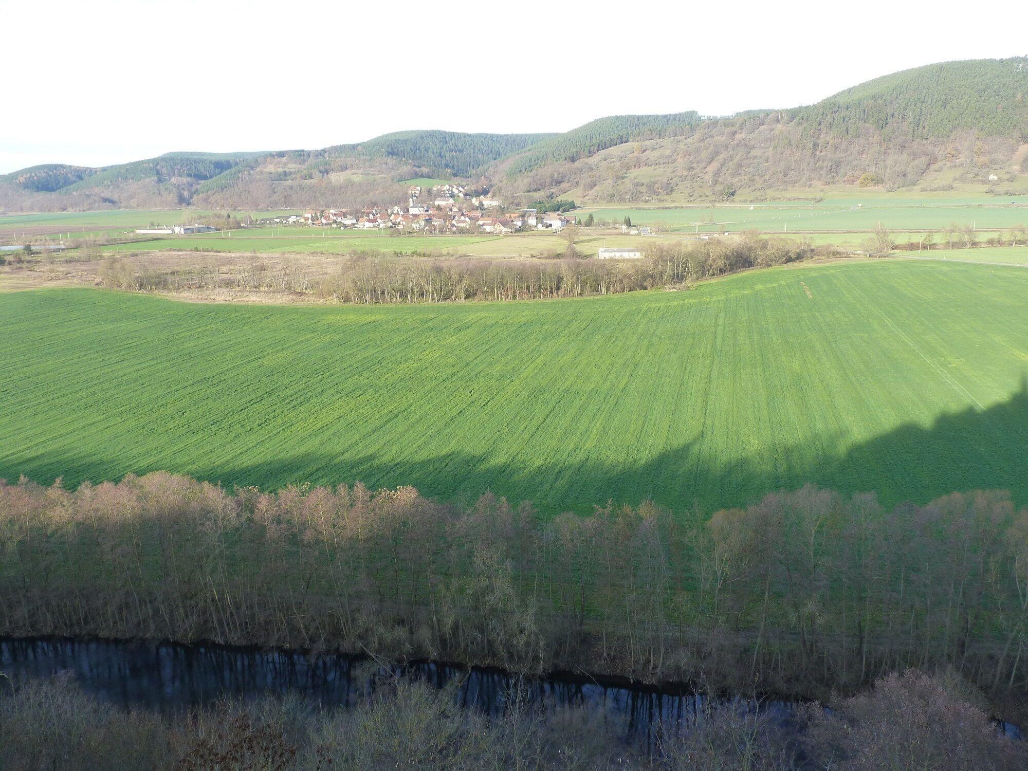 General View