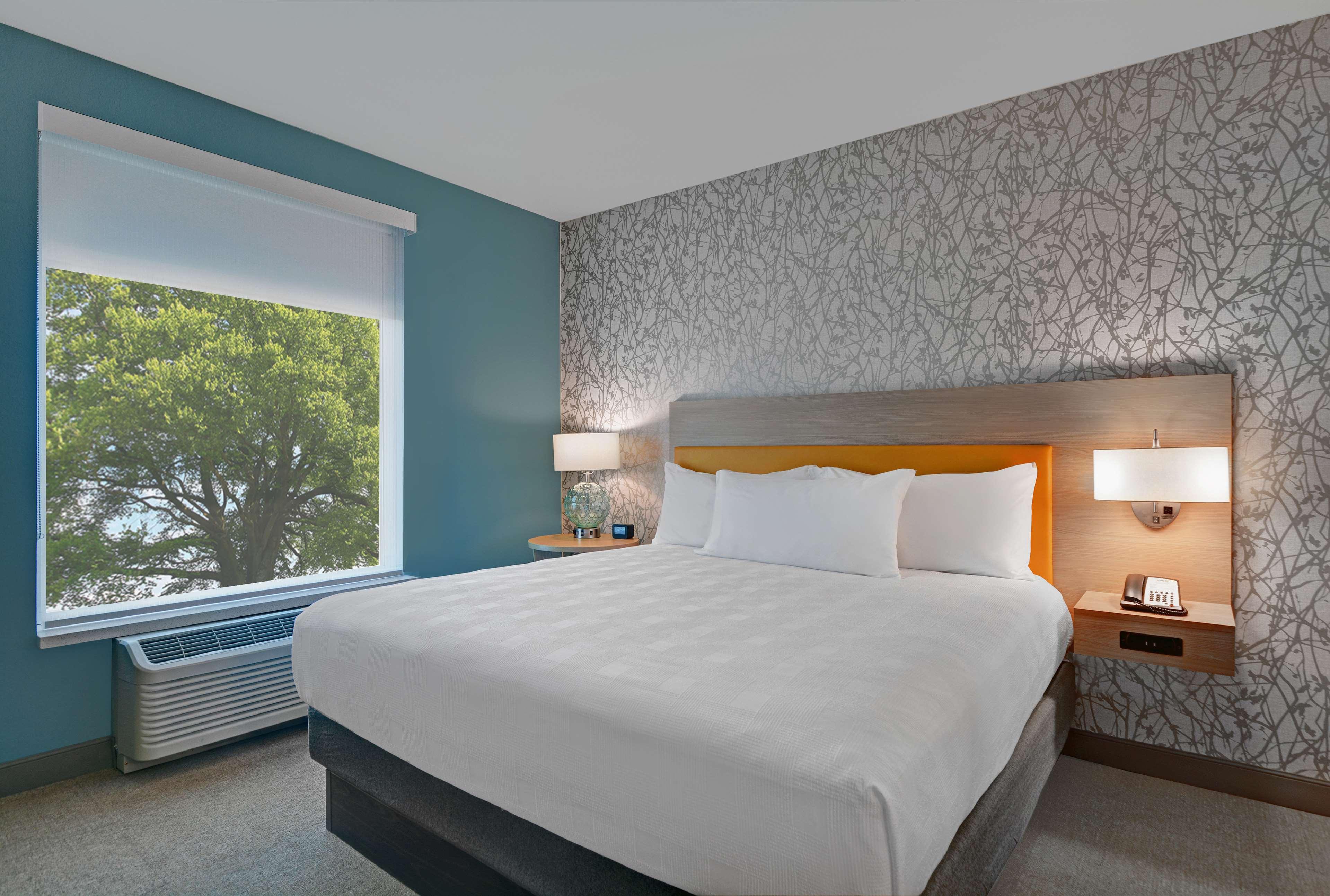 Suite King Bed One Bedroom 