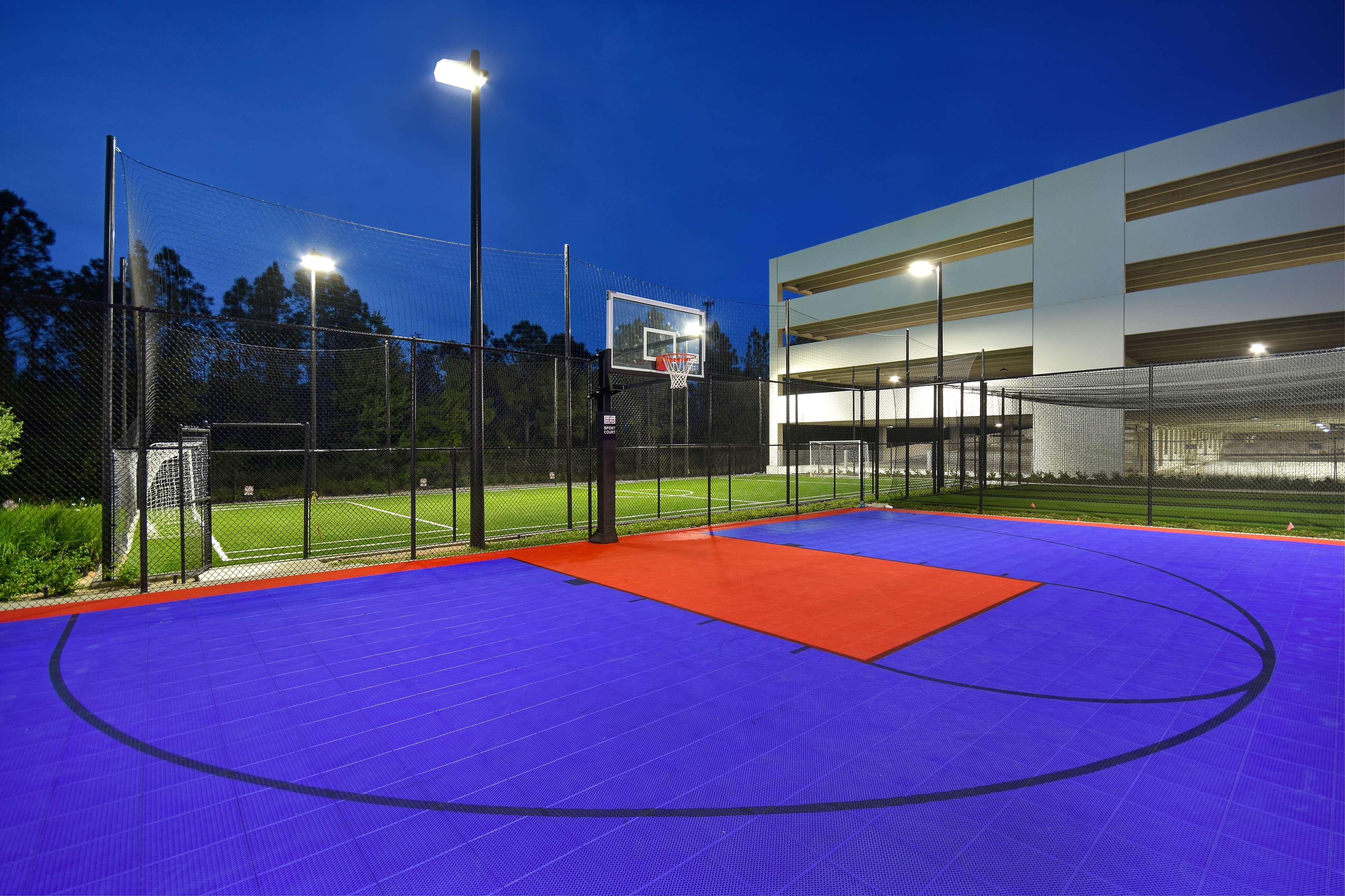 Sports and Entertainment