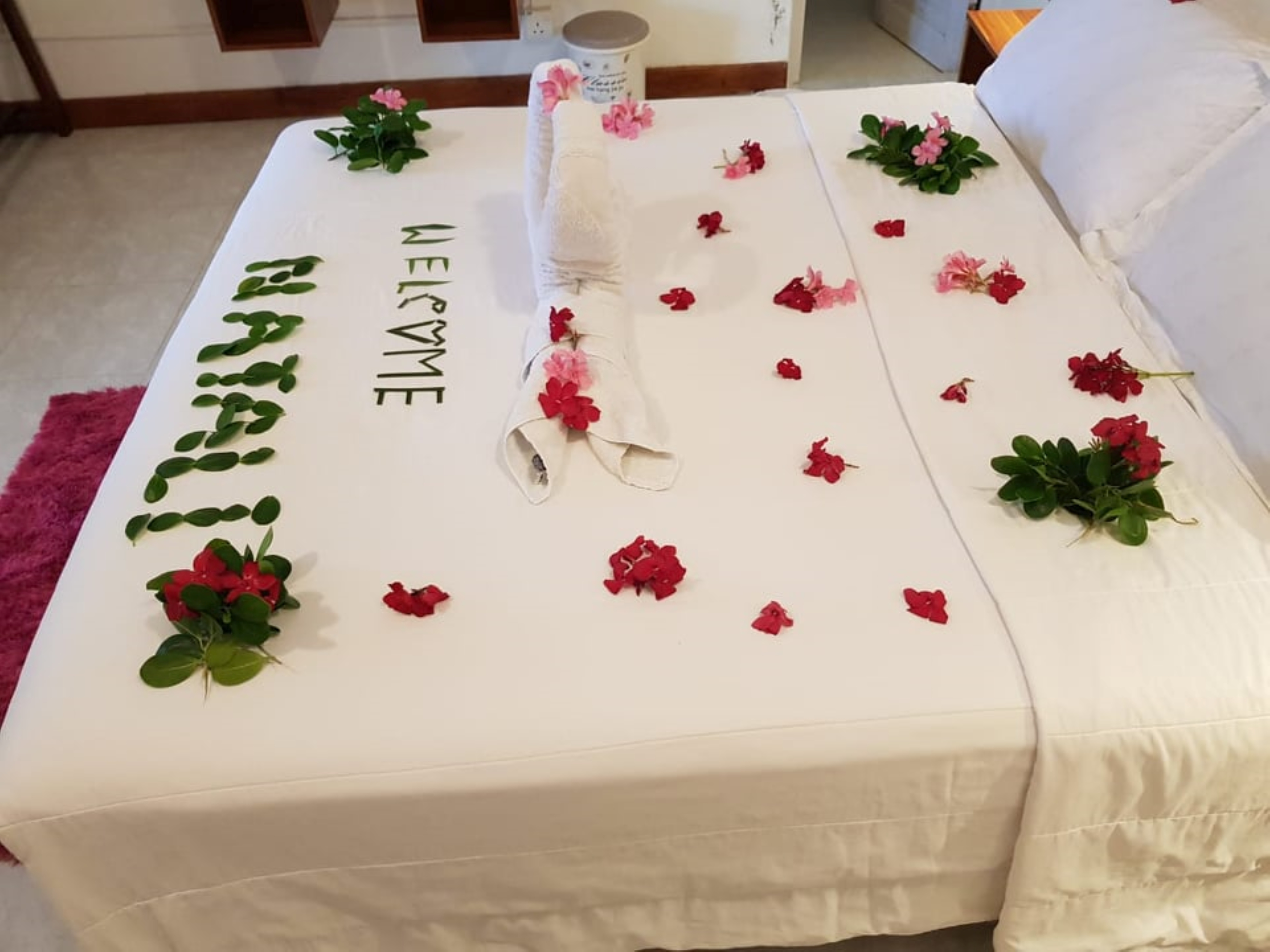 Double or Twin Standard