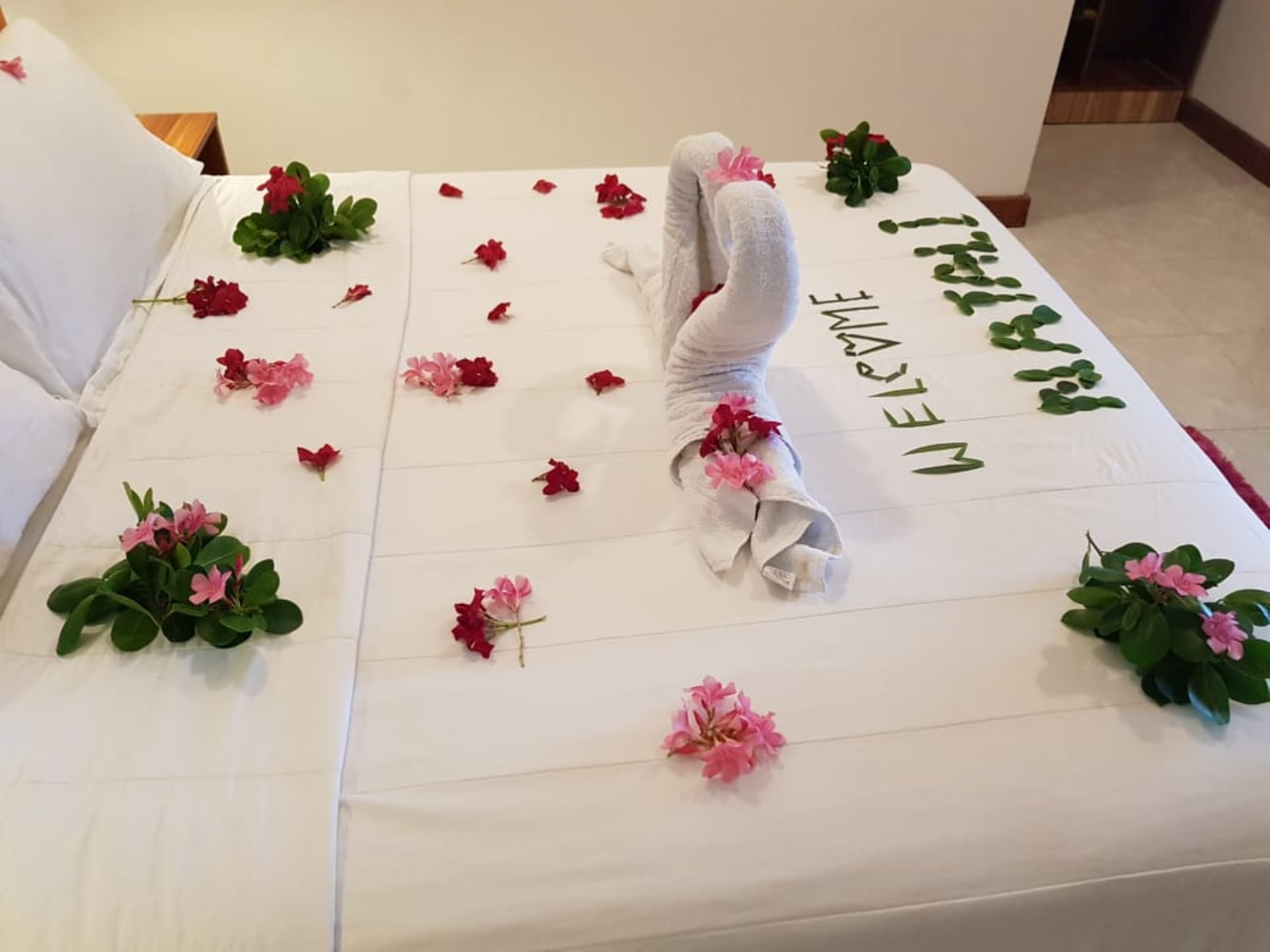 Double or Twin Standard