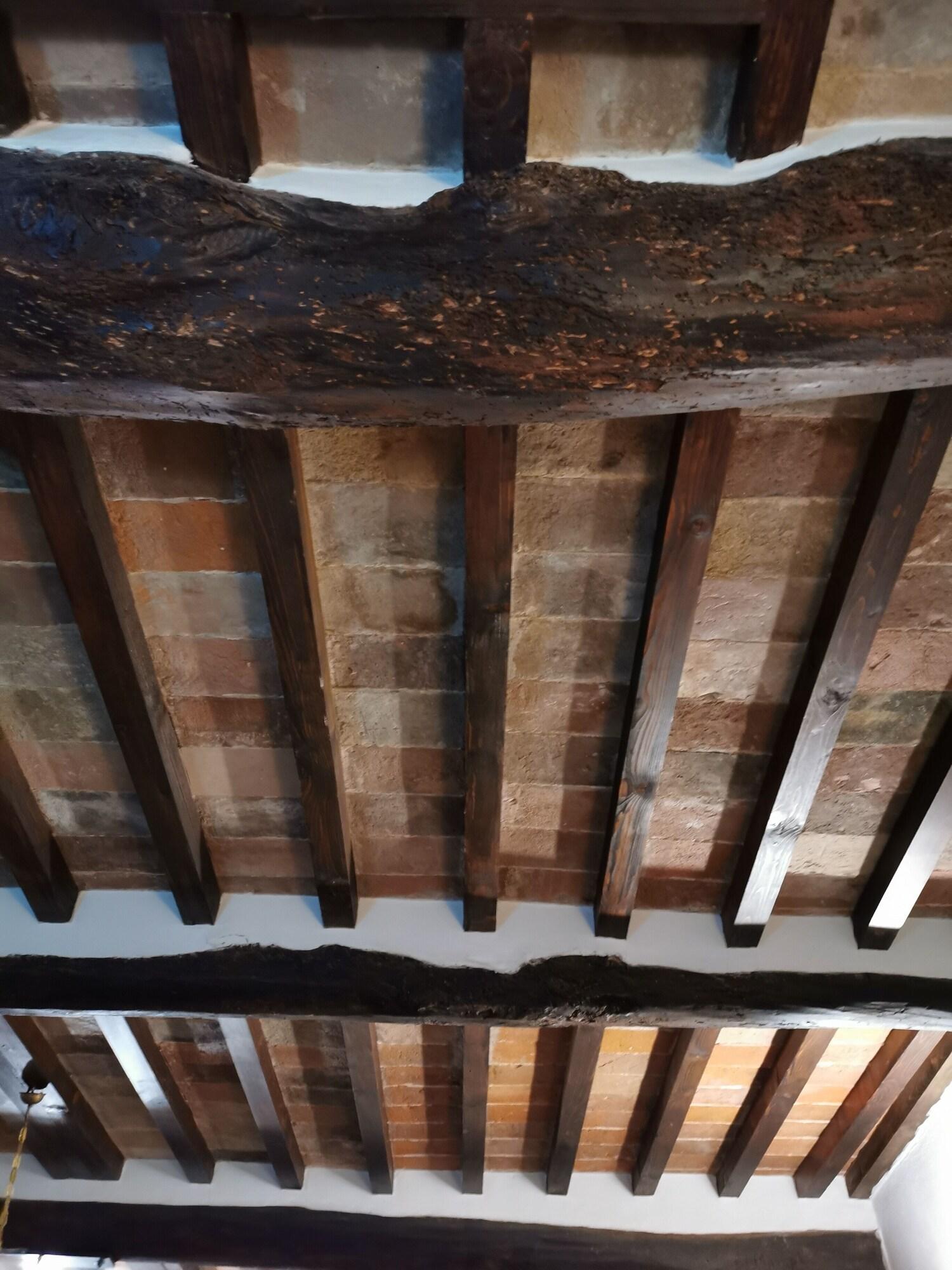 Single City View King Bed