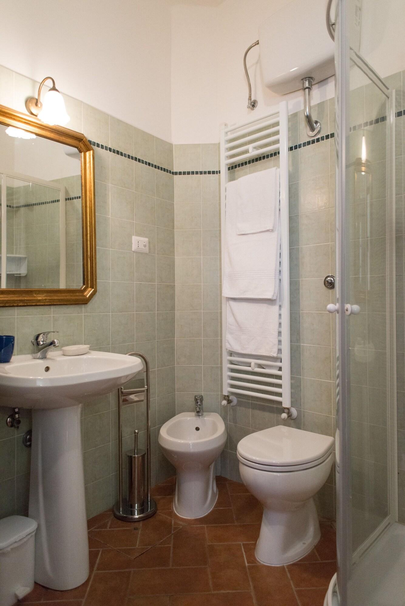 Single City View King Bed