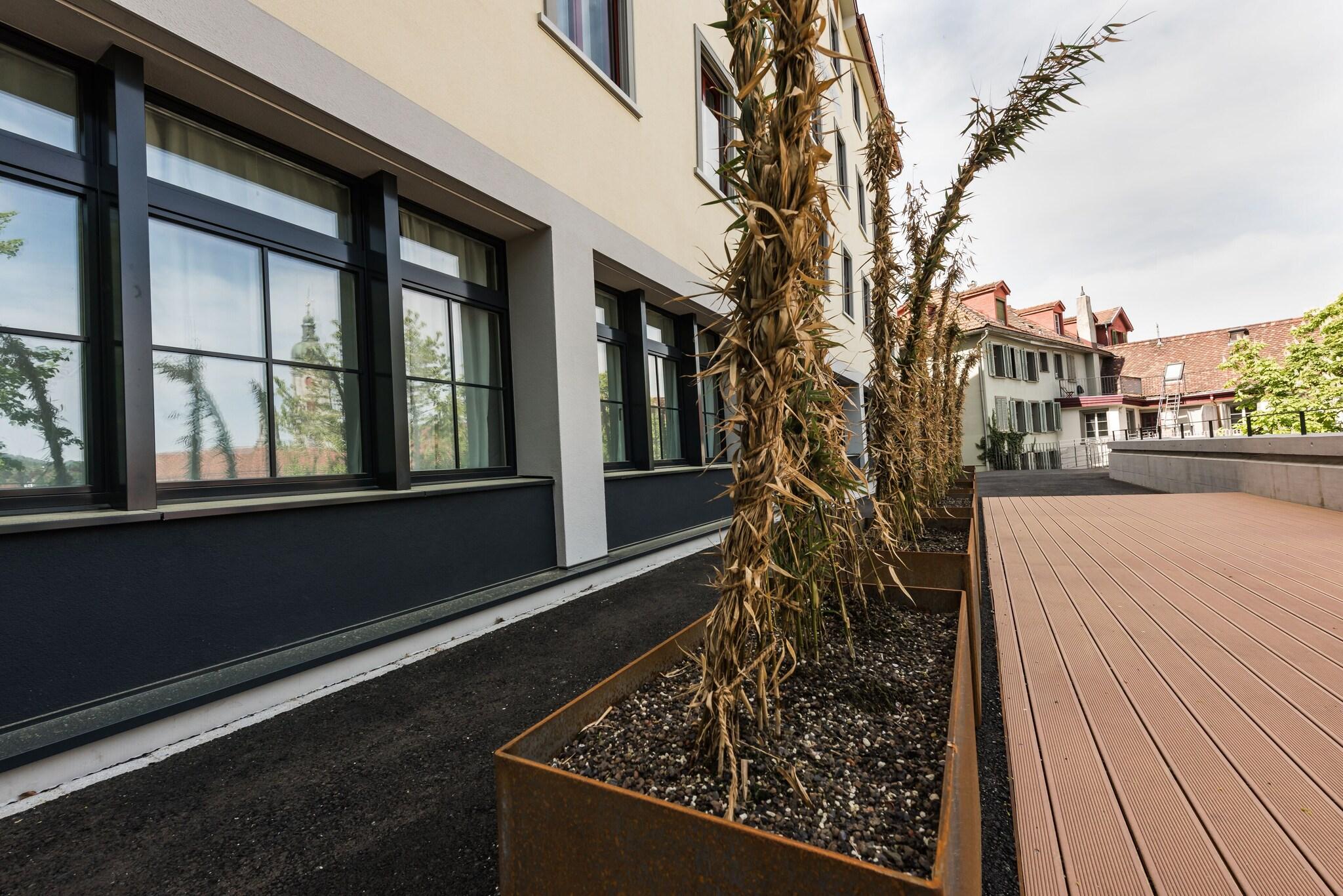 Studio Deluxe Queen Bed