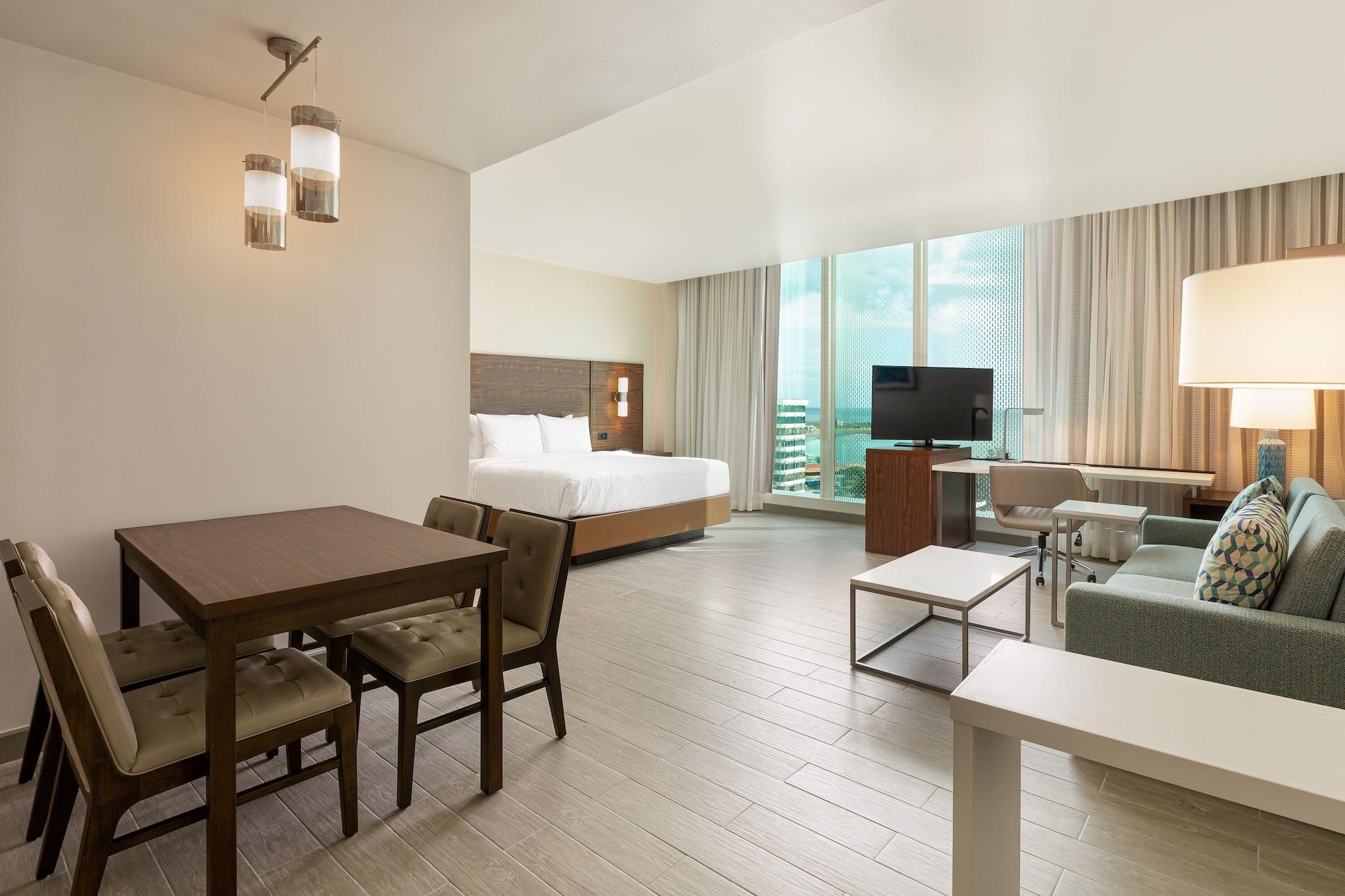 Suite King Bed Non Smoking