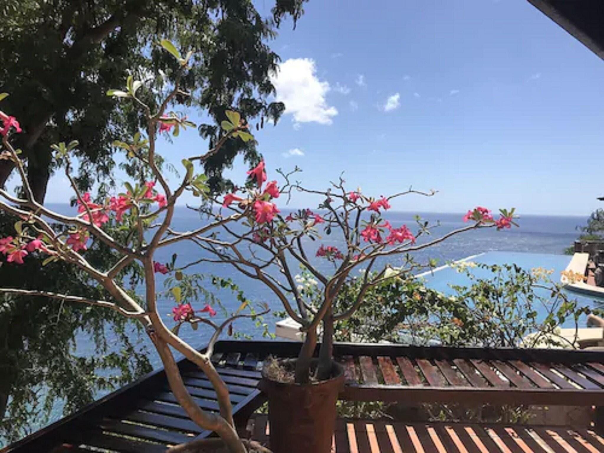 Suite Deluxe Ocean View