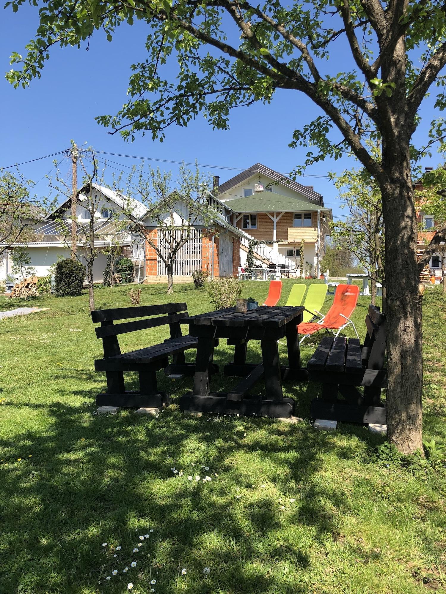 Sports and Entertainment