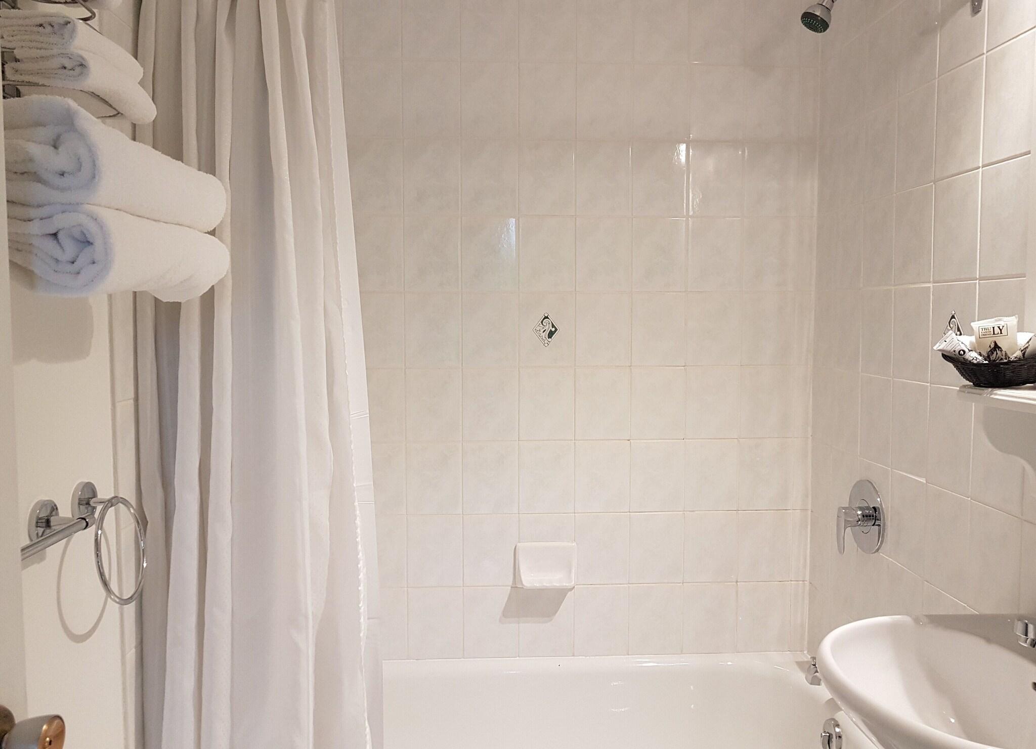 Double Deluxe Mountain View