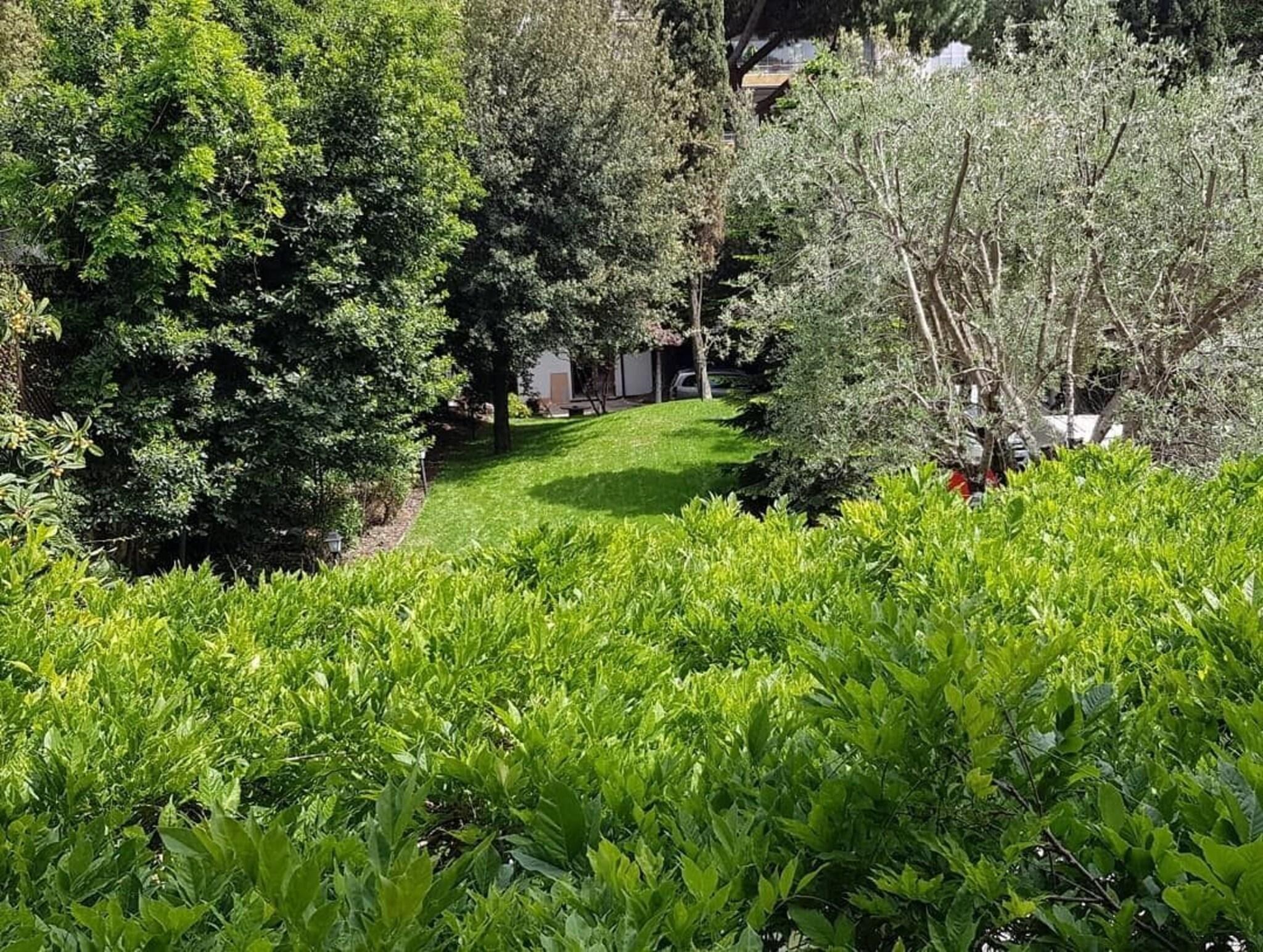 Suite Garden View King Bed