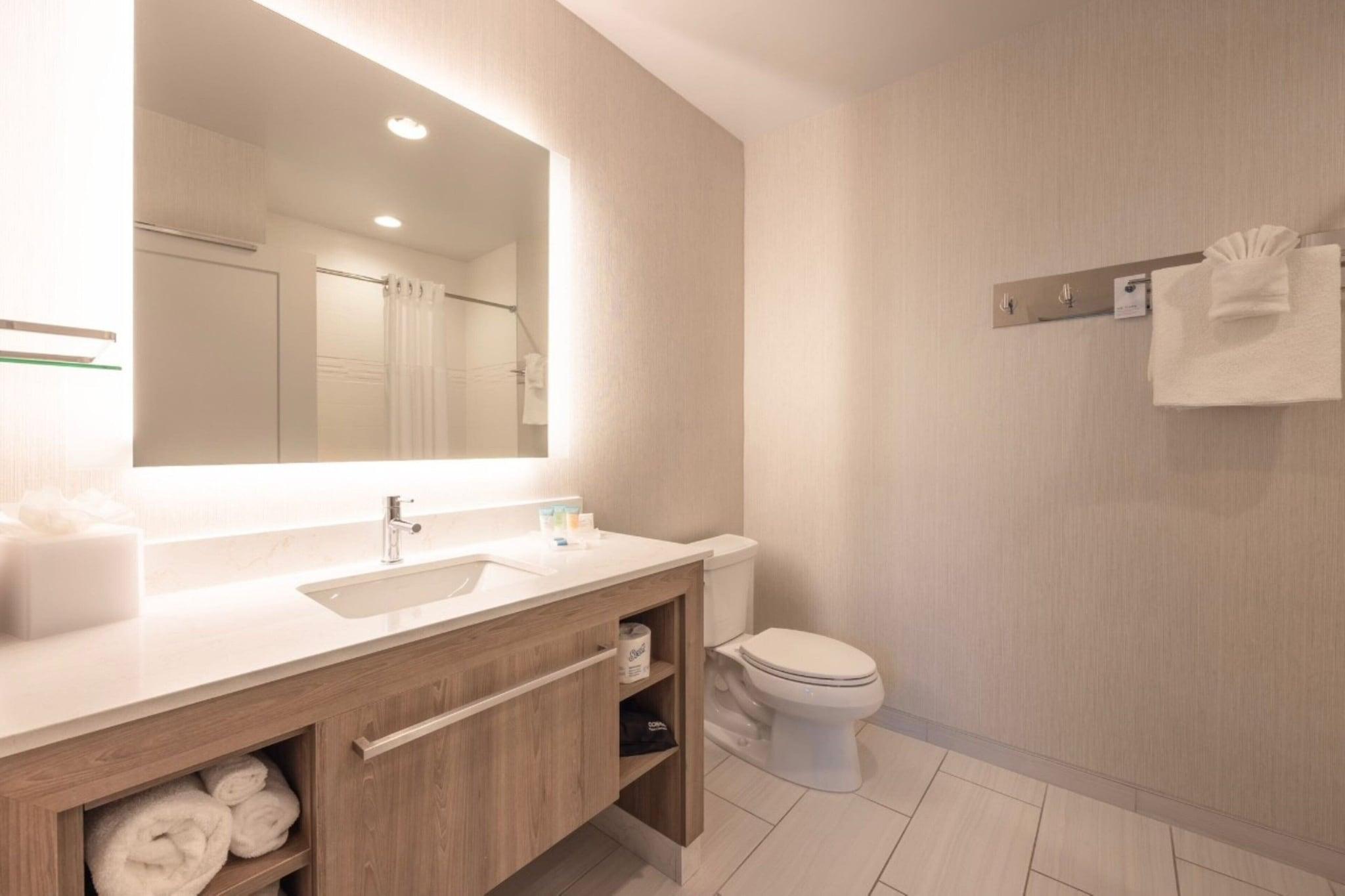 Suite King Bed Non Smoking