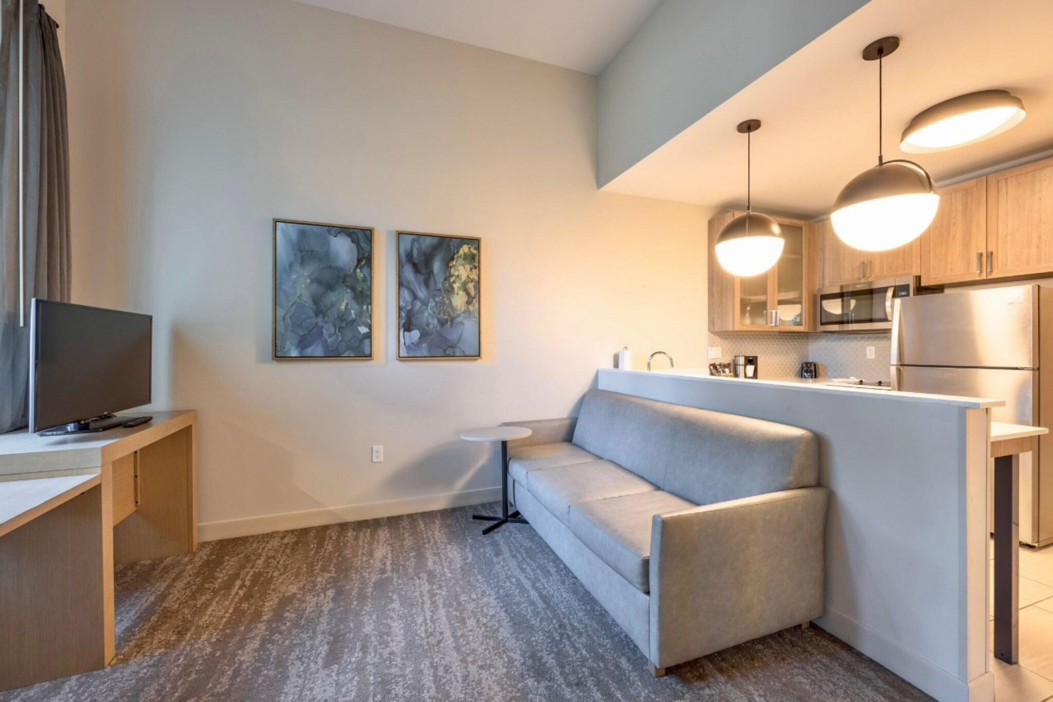 Suite King Bed One Bedroom 