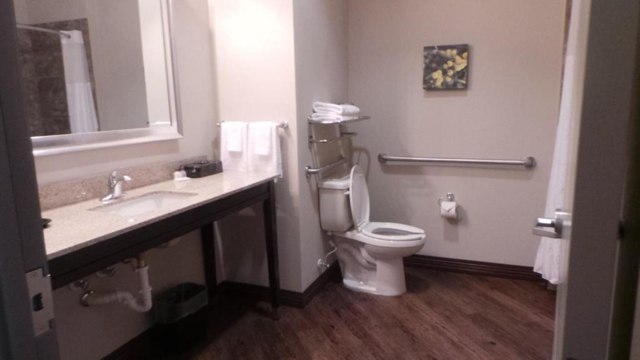 Room Accessible King Size Bed