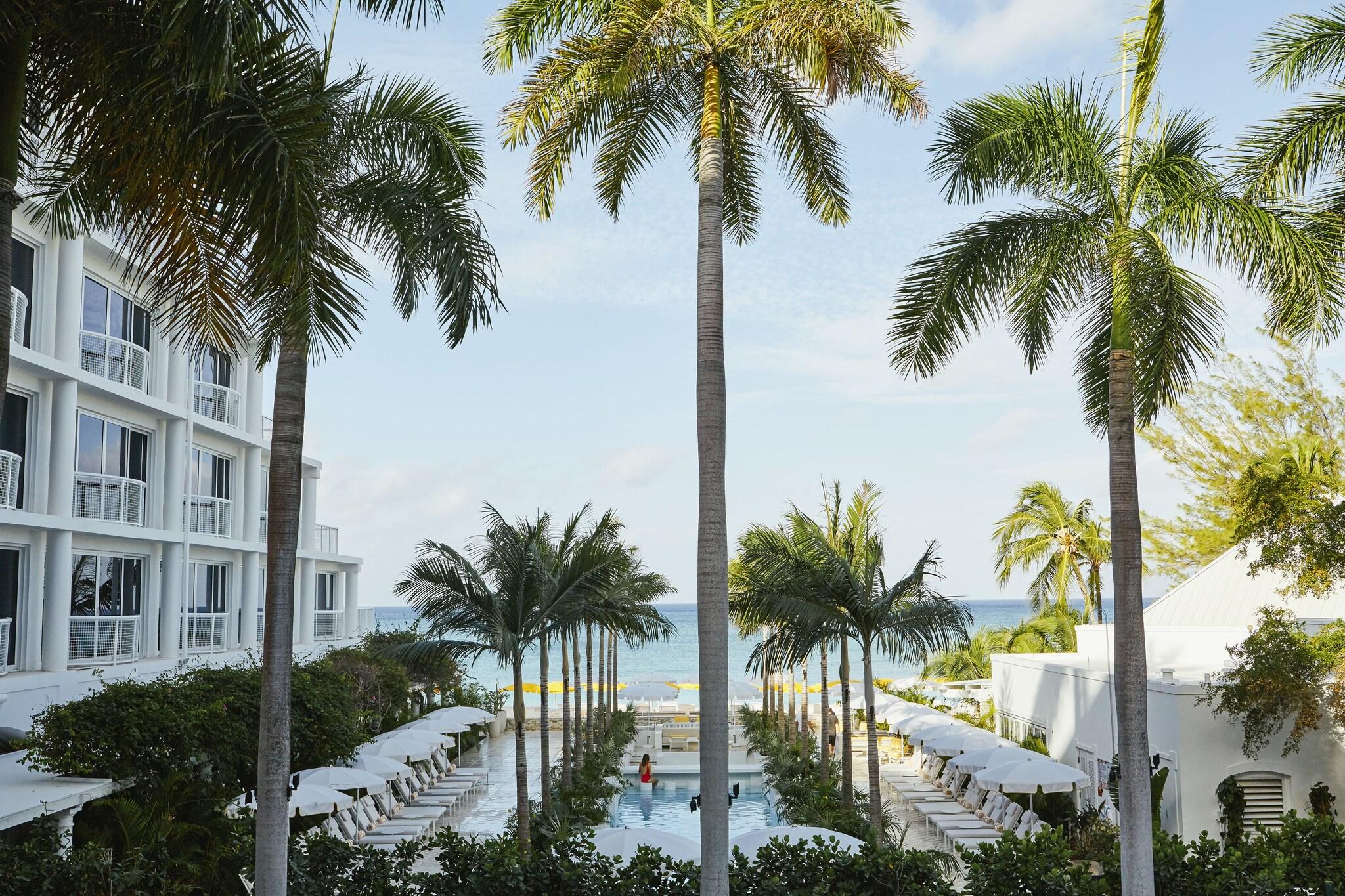 Suite Ocean Front King Bed