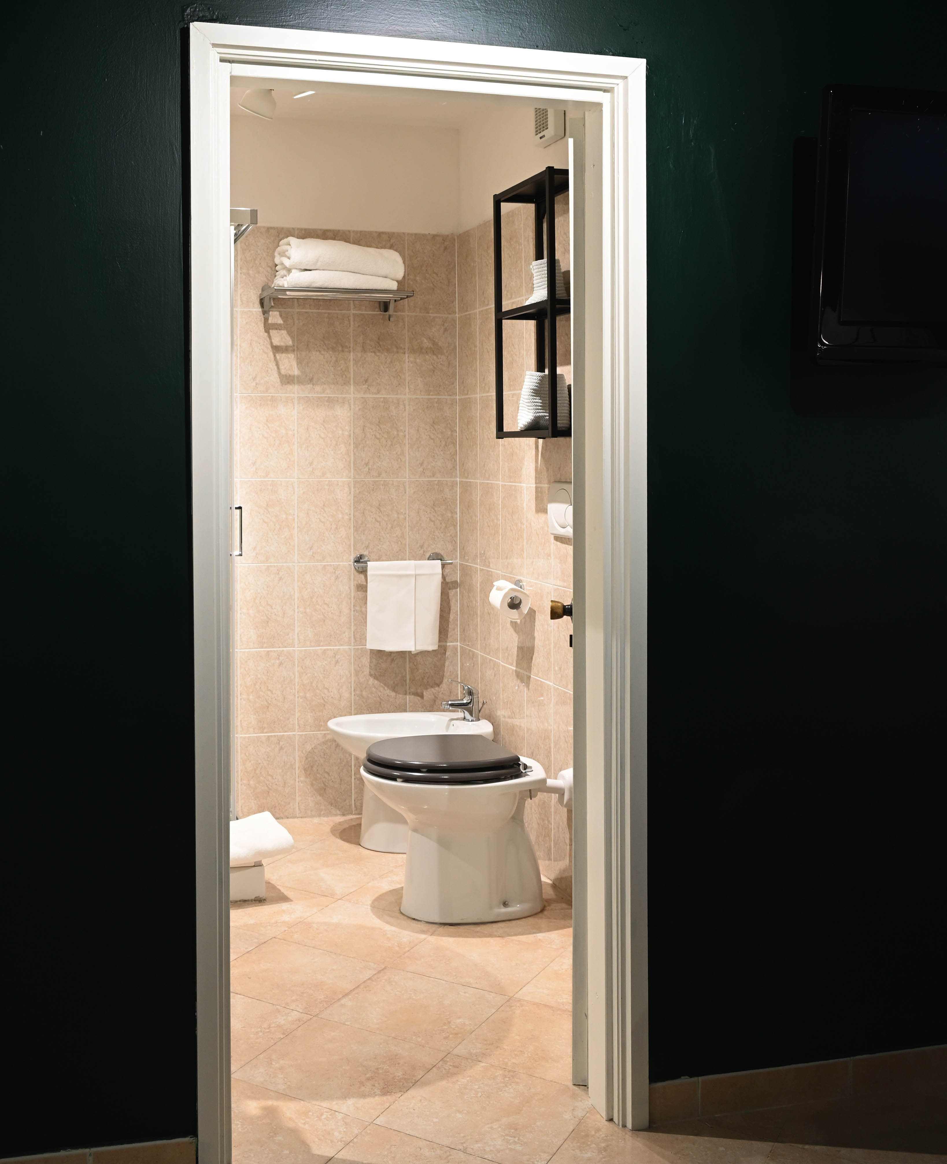 Double or Twin Superior with Terrace