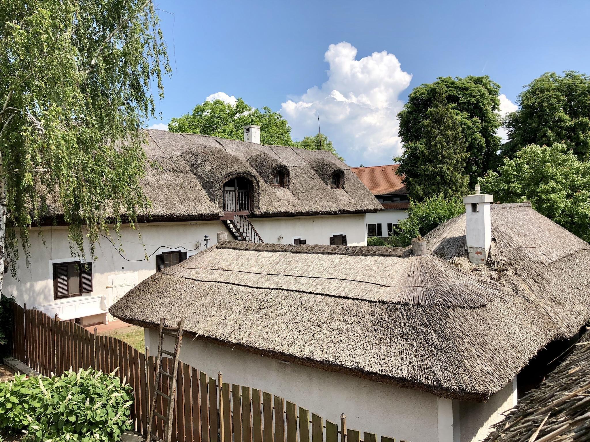 Family Room Garden View