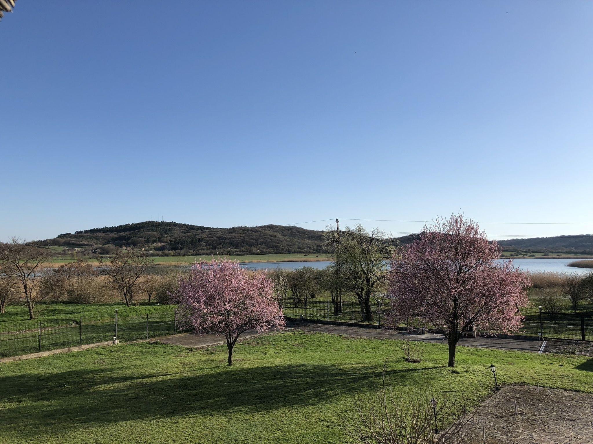 Apartment Superior Lake View
