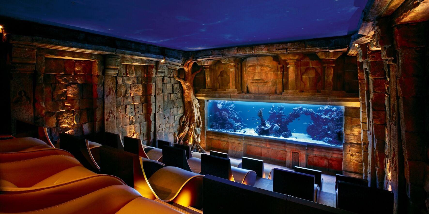 Sports and Entertainment