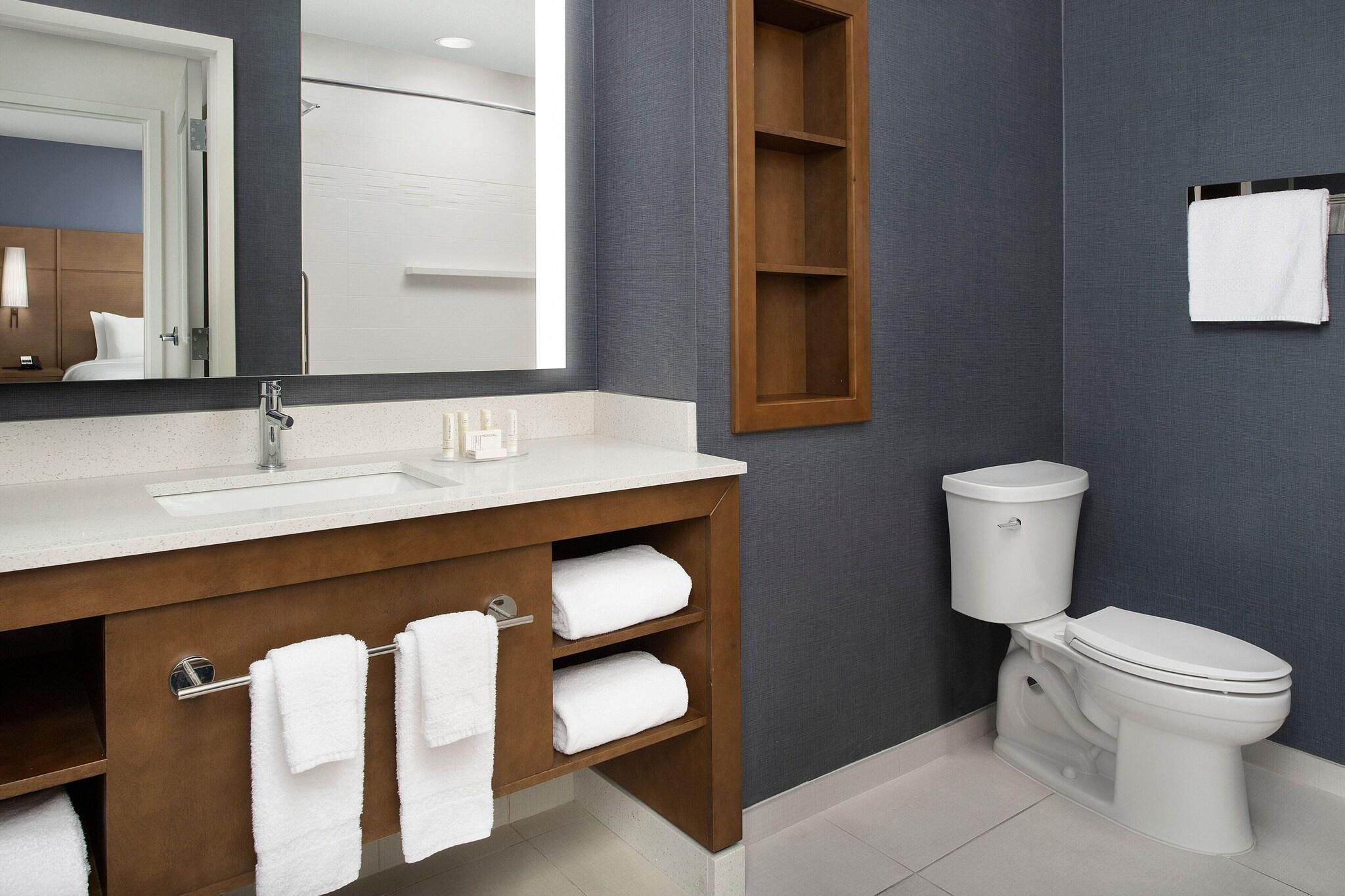 Suite King Bed One Bedroom 