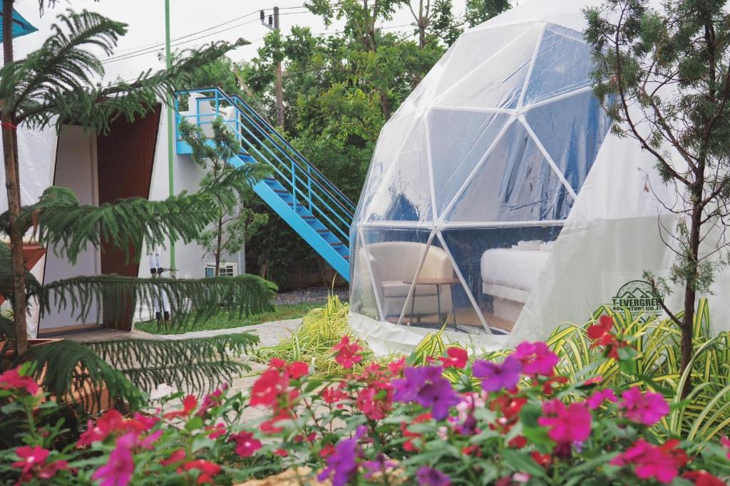 Family Room Two King Beds