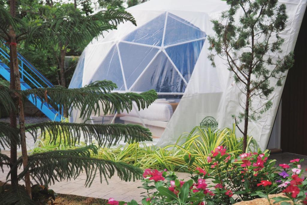 Family Room Two King Beds